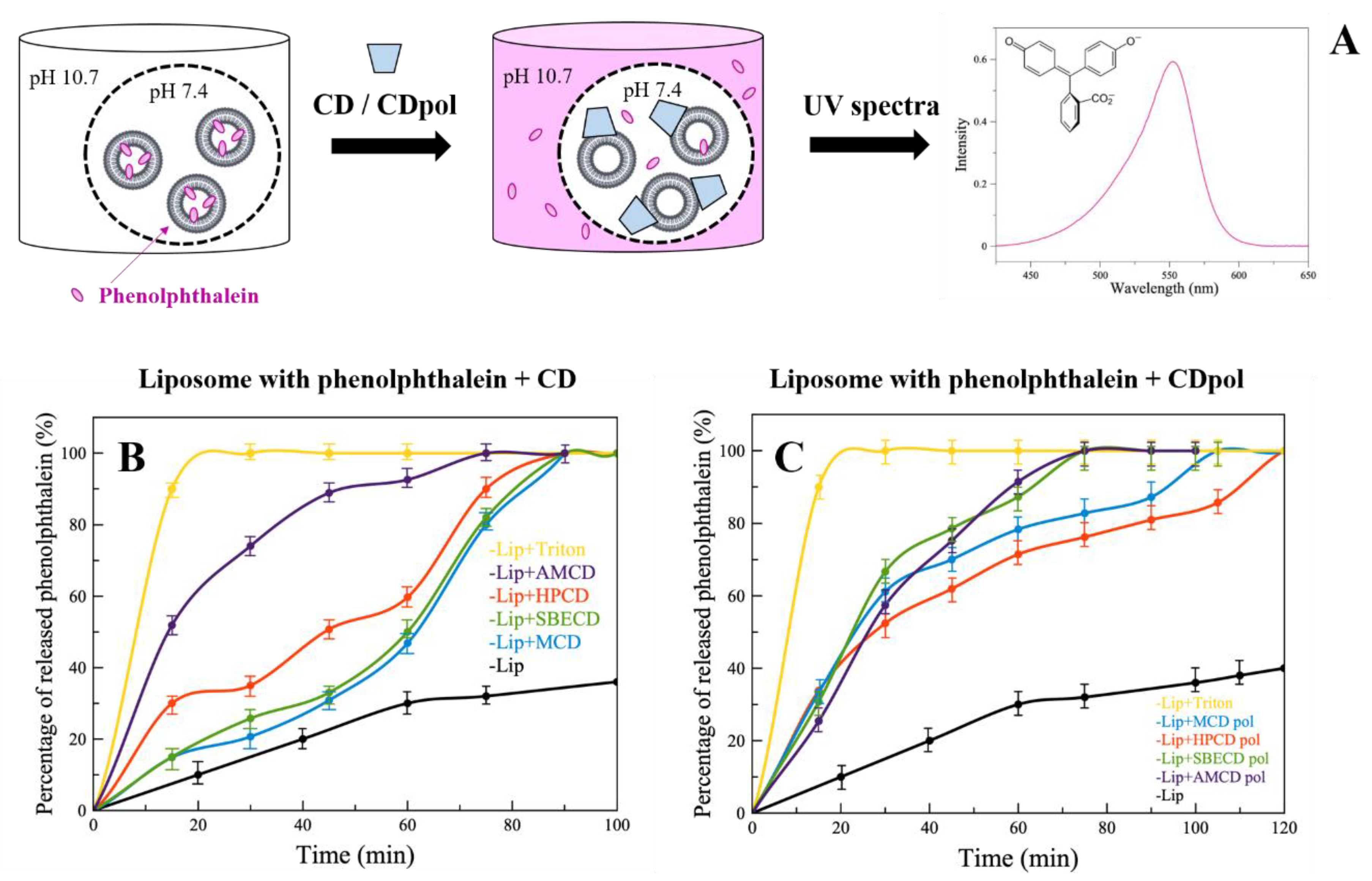 Polymers 14 04476 g002