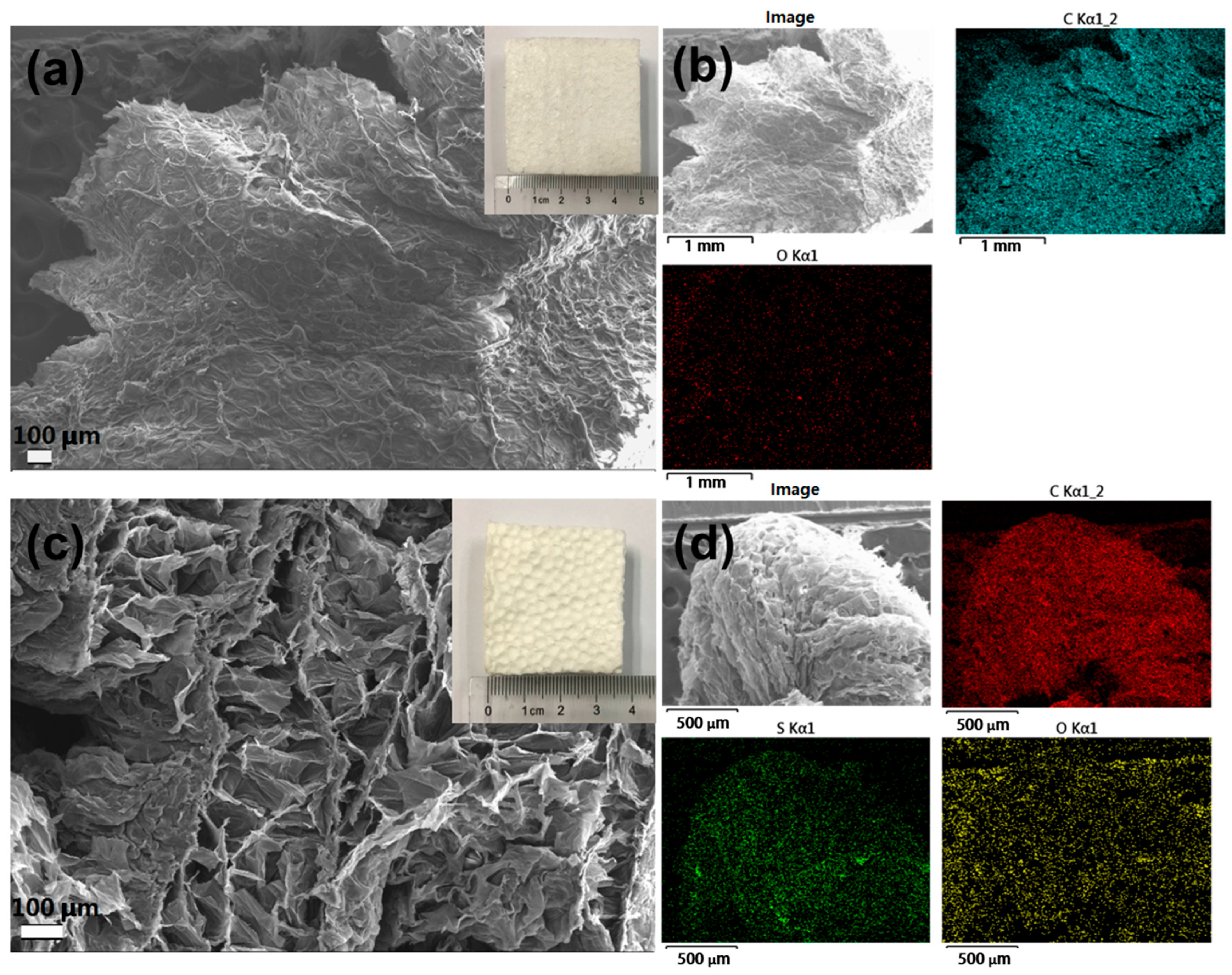 Polymers 14 04477 g002