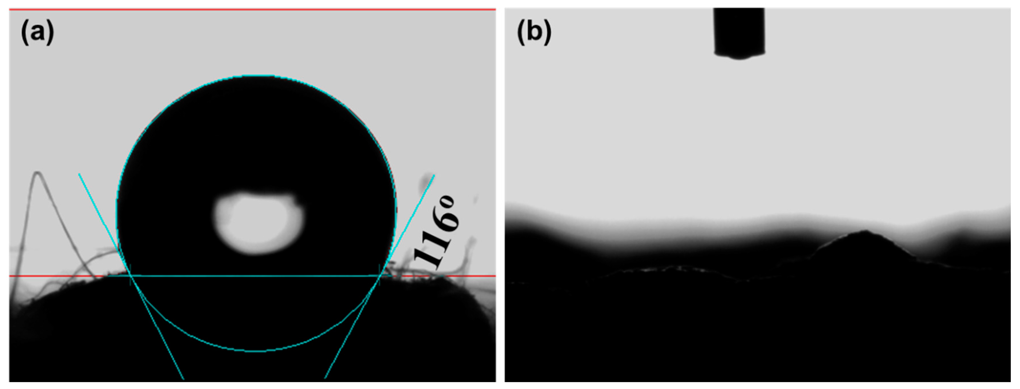Polymers 14 04477 g003