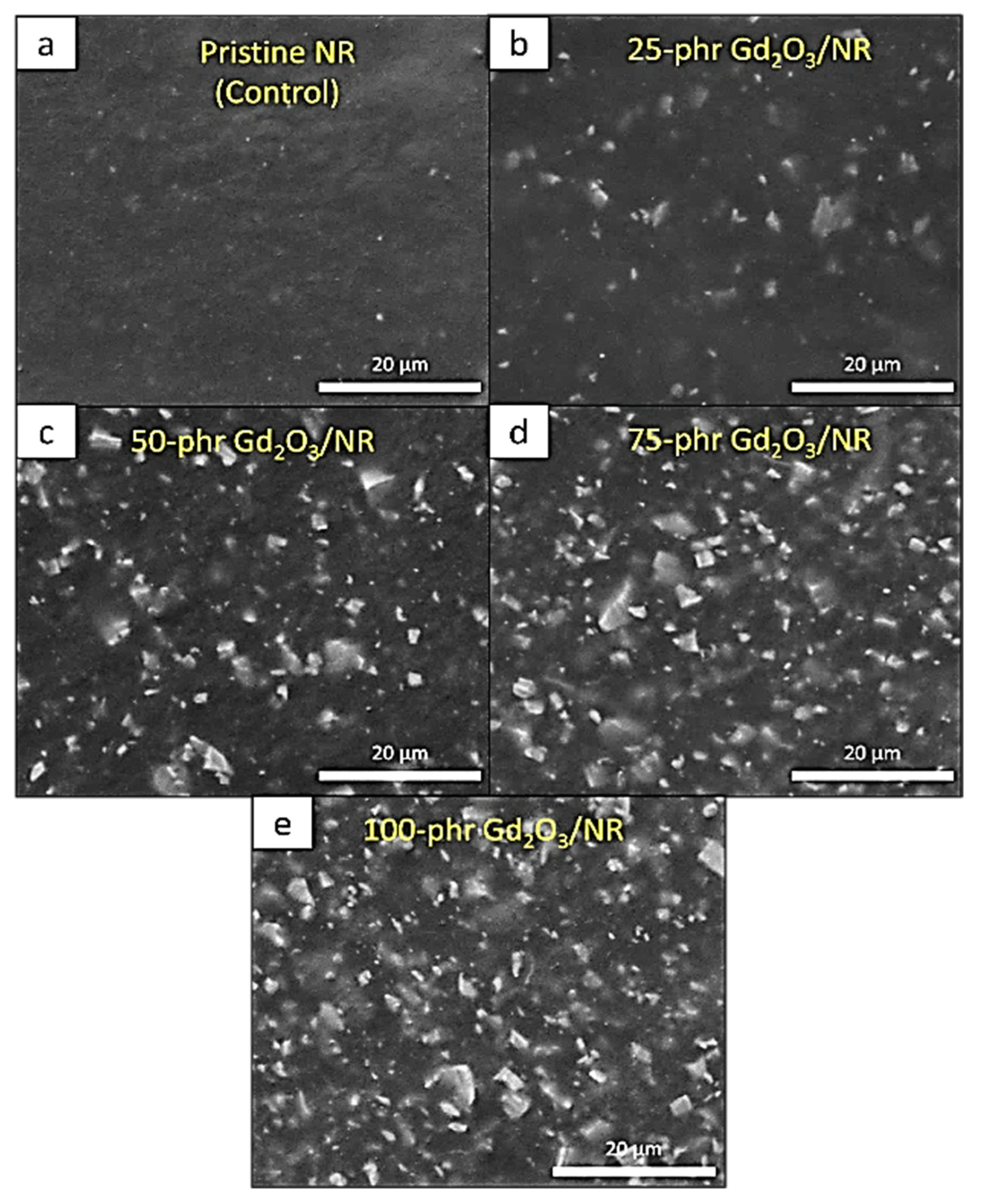 Polymers 14 04481 g008