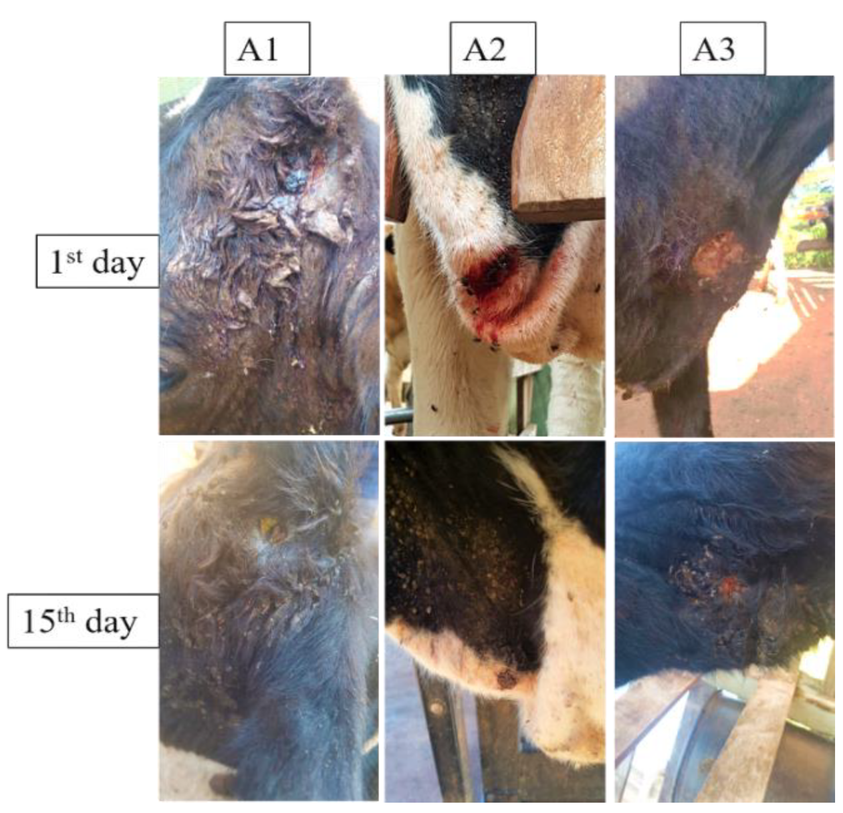 Polymers 14 04483 g006 Polymers 14 04483 g006