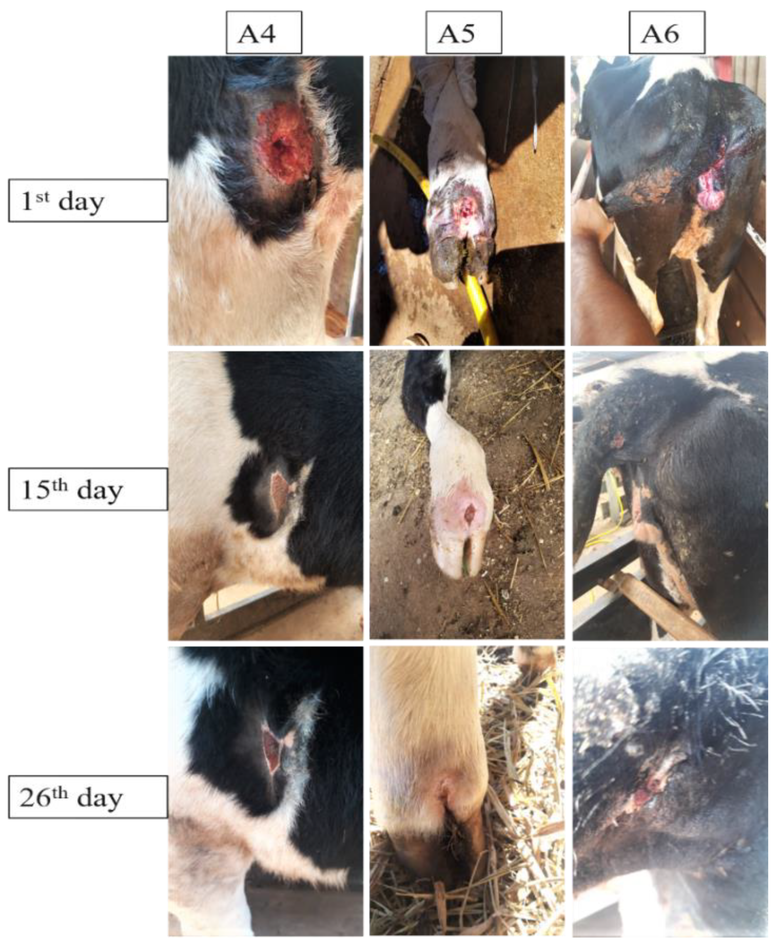 Polymers 14 04483 g007 Polymers 14 04483 g007