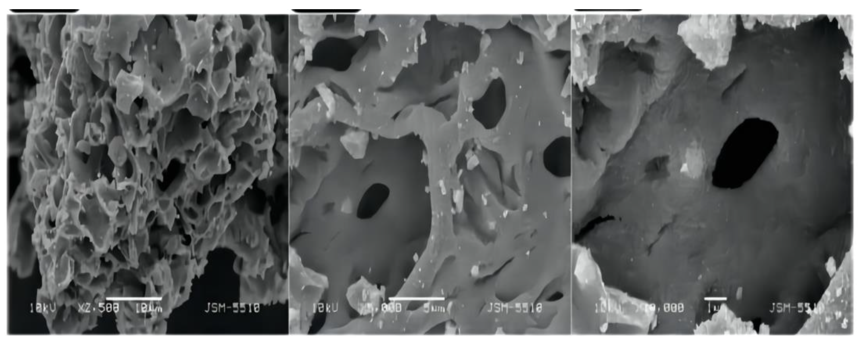 Polymers 14 04484 g006