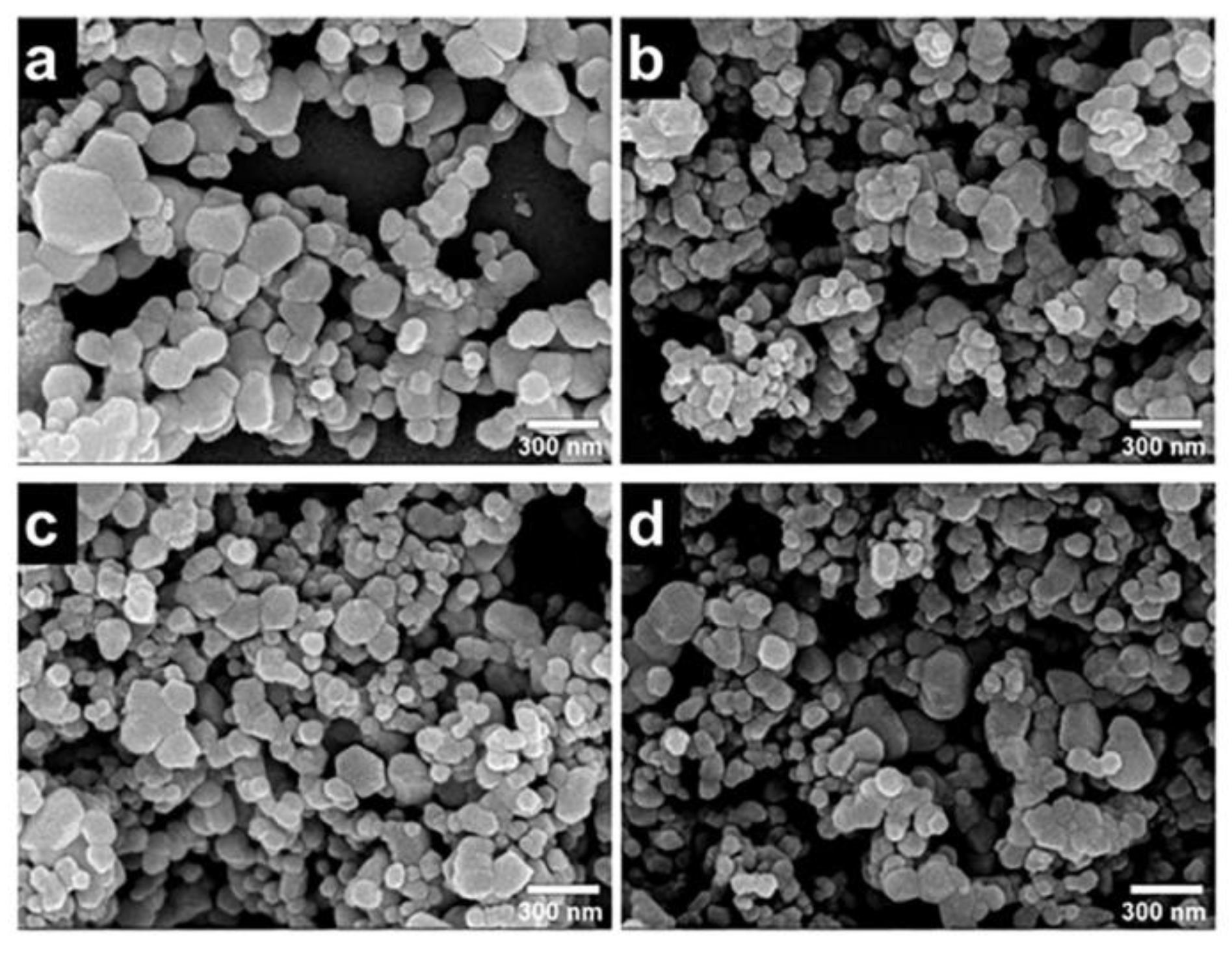 Polymers 14 04484 g012