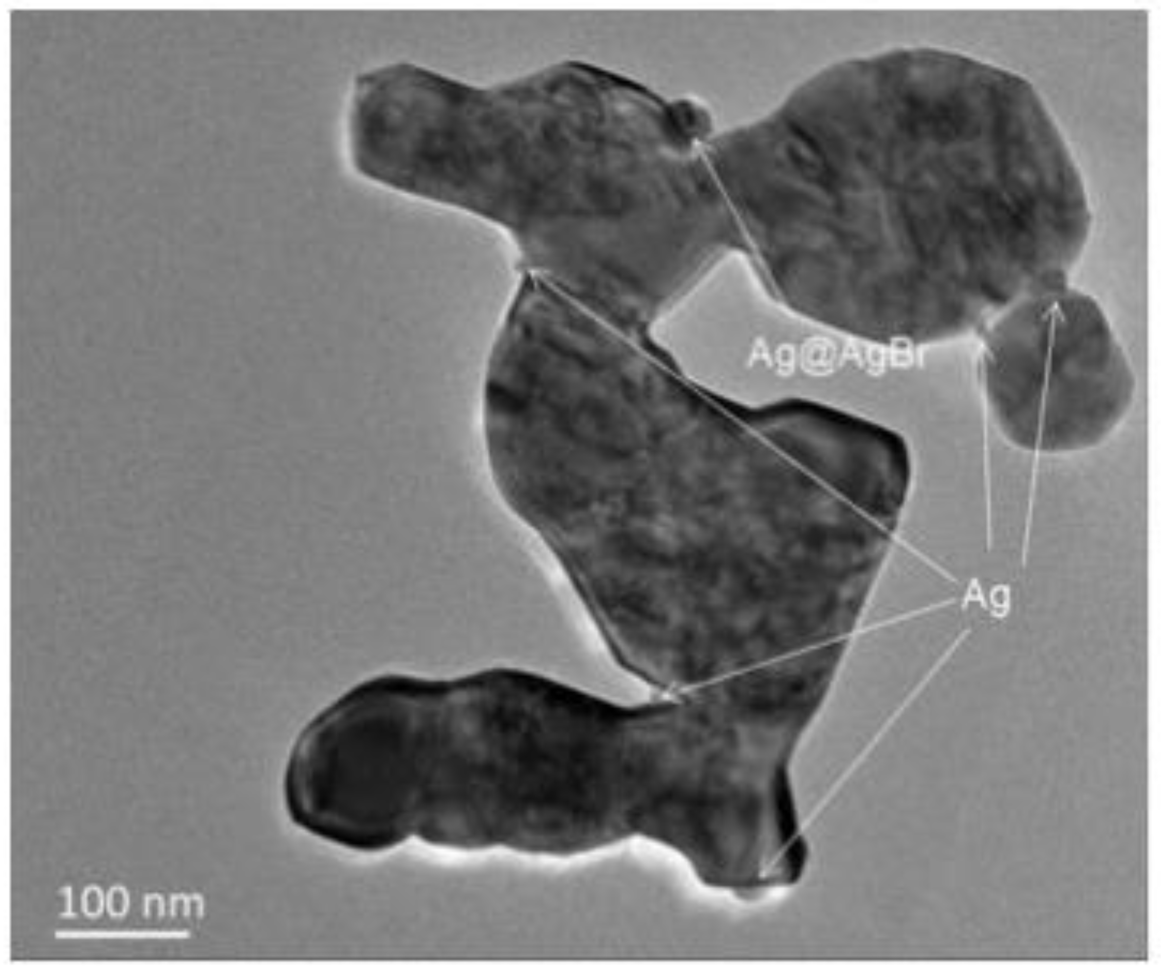 Polymers 14 04484 g013