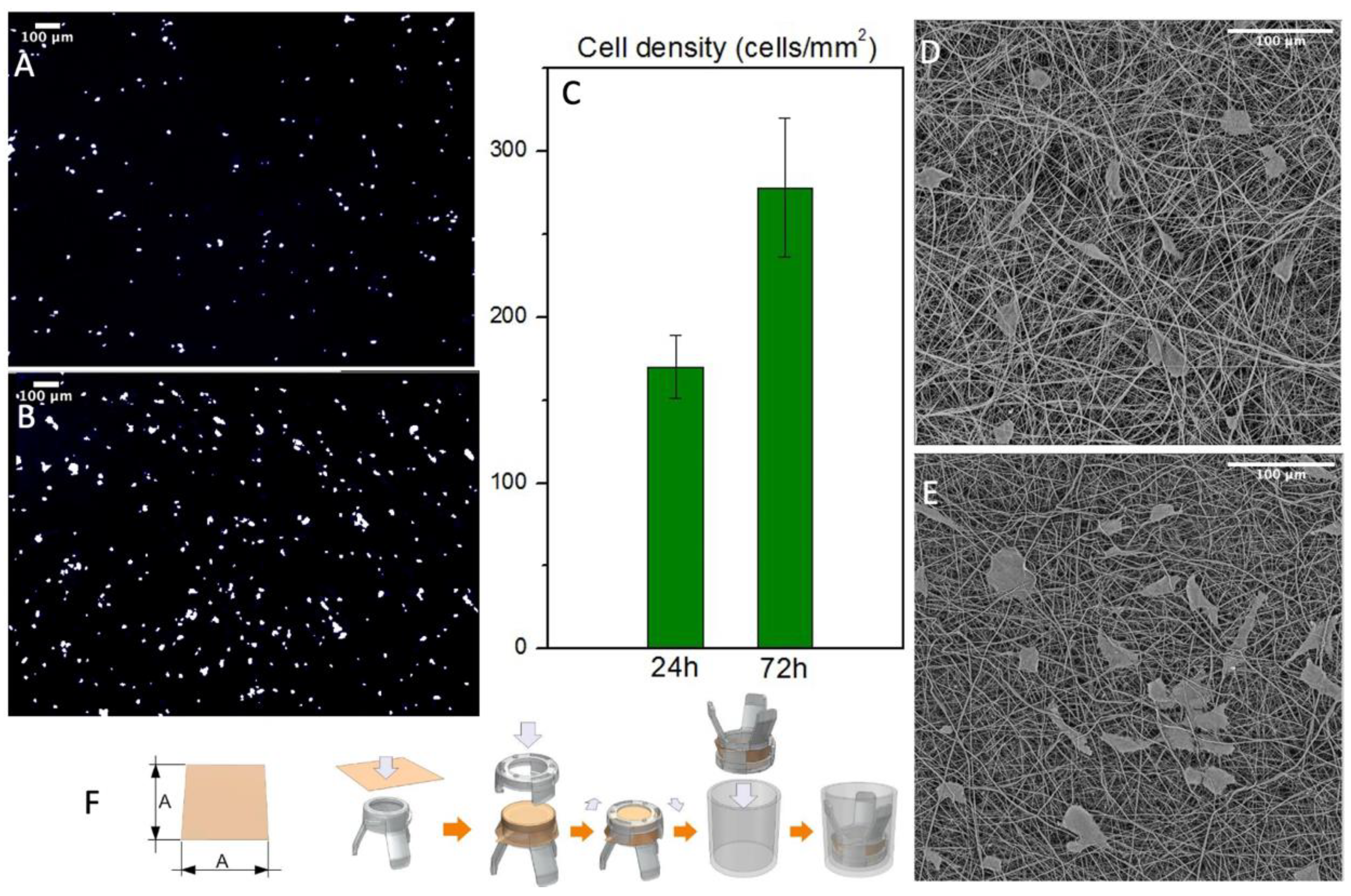 Polymers 14 04486 g007
