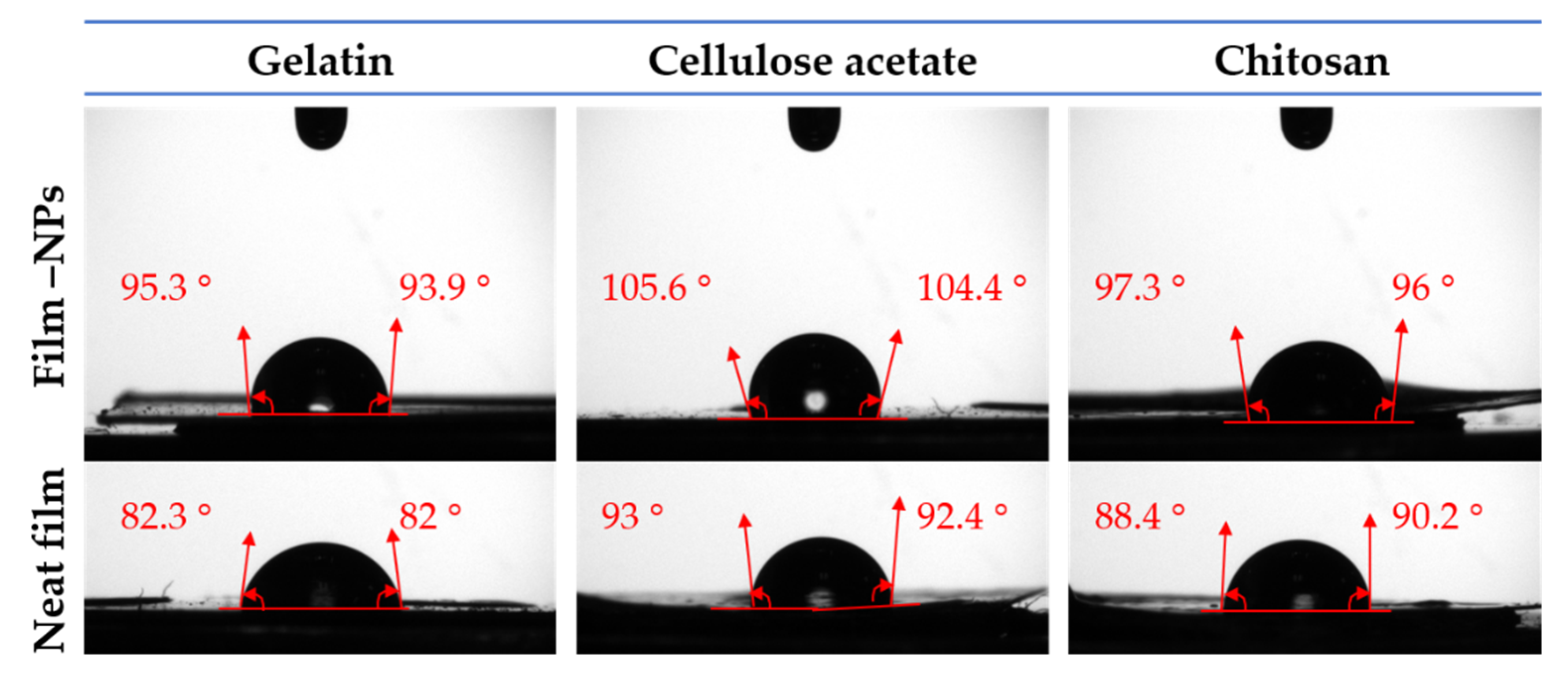 Polymers 14 04487 g003