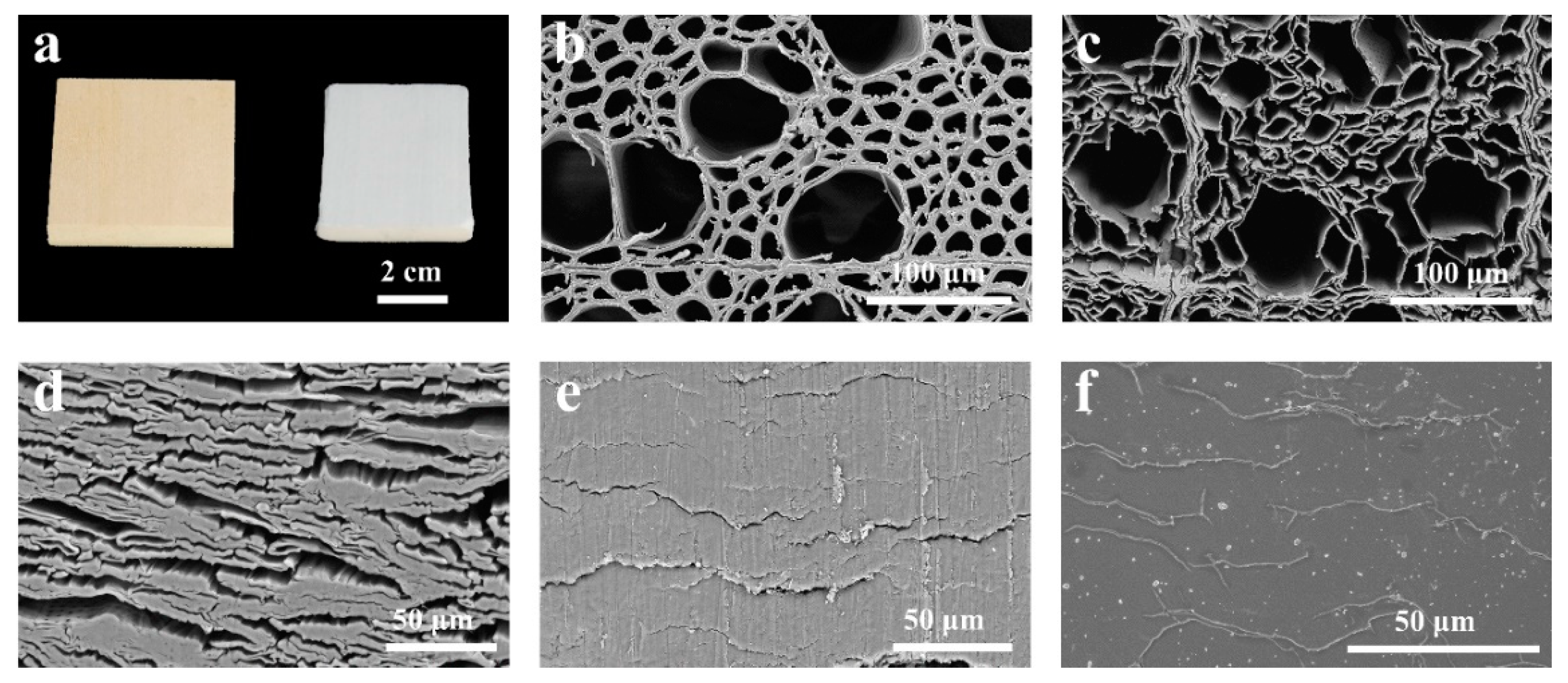 Polymers 14 04490 g002 Polymers 14 04490 g002