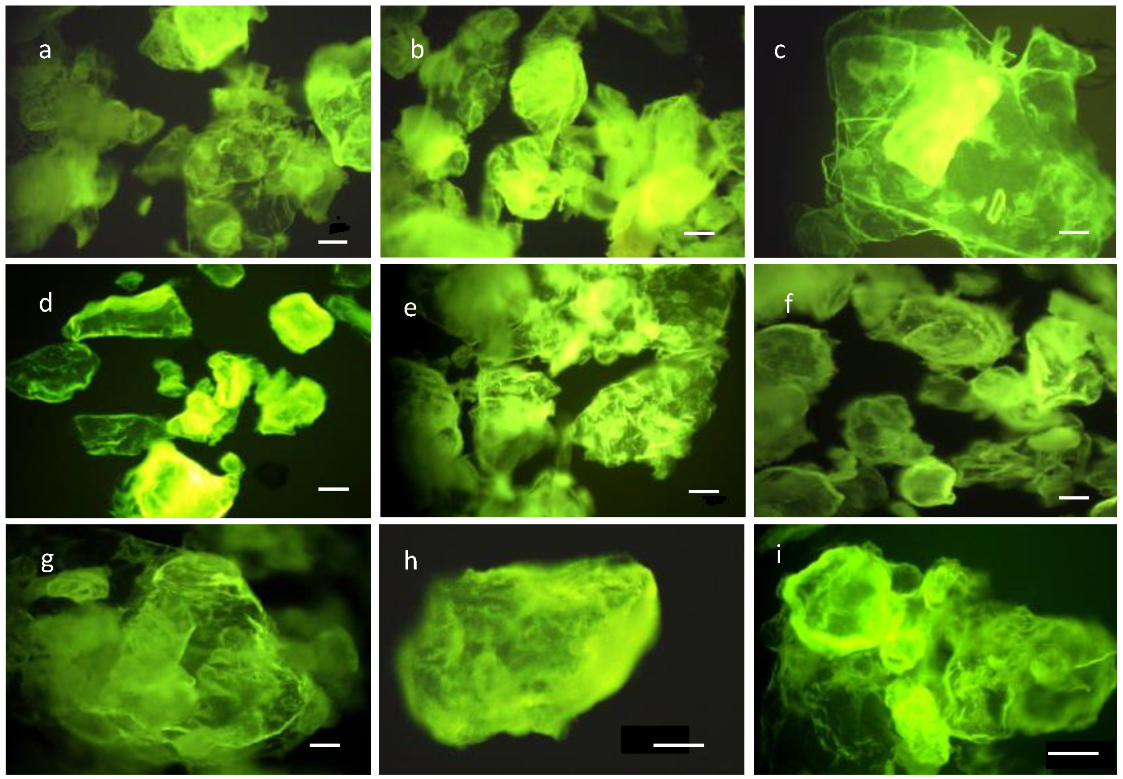 Polymers 14 04492 g005 Polymers 14 04492 g005