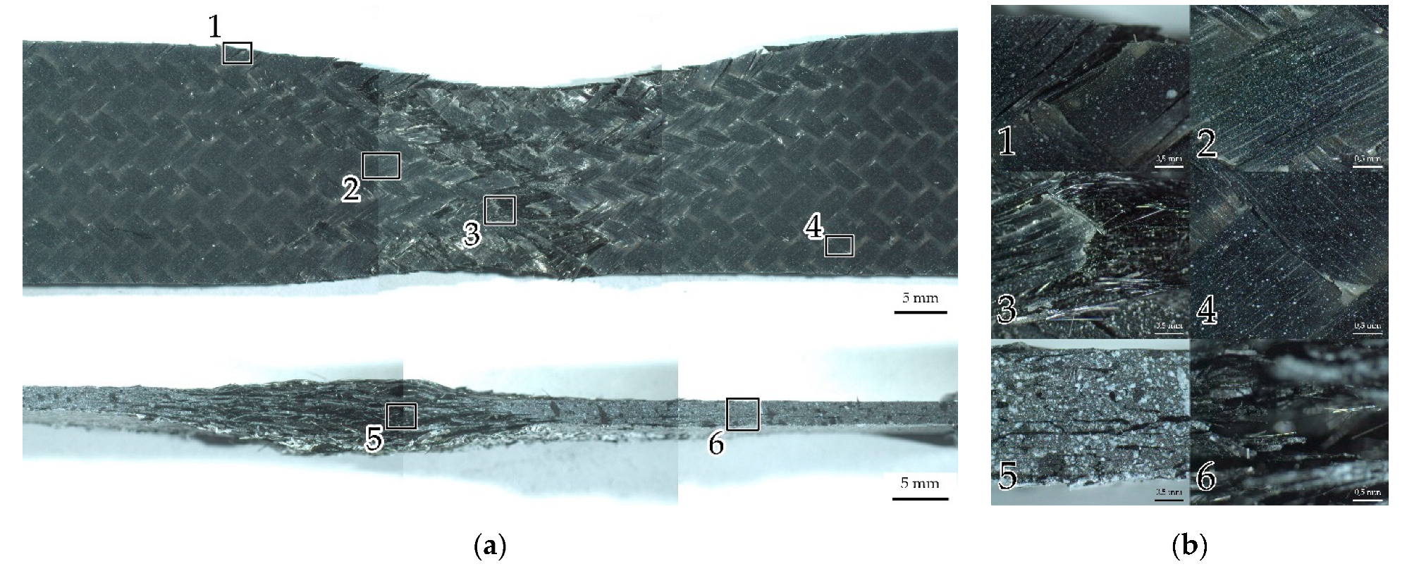 Polymers 14 04502 g006