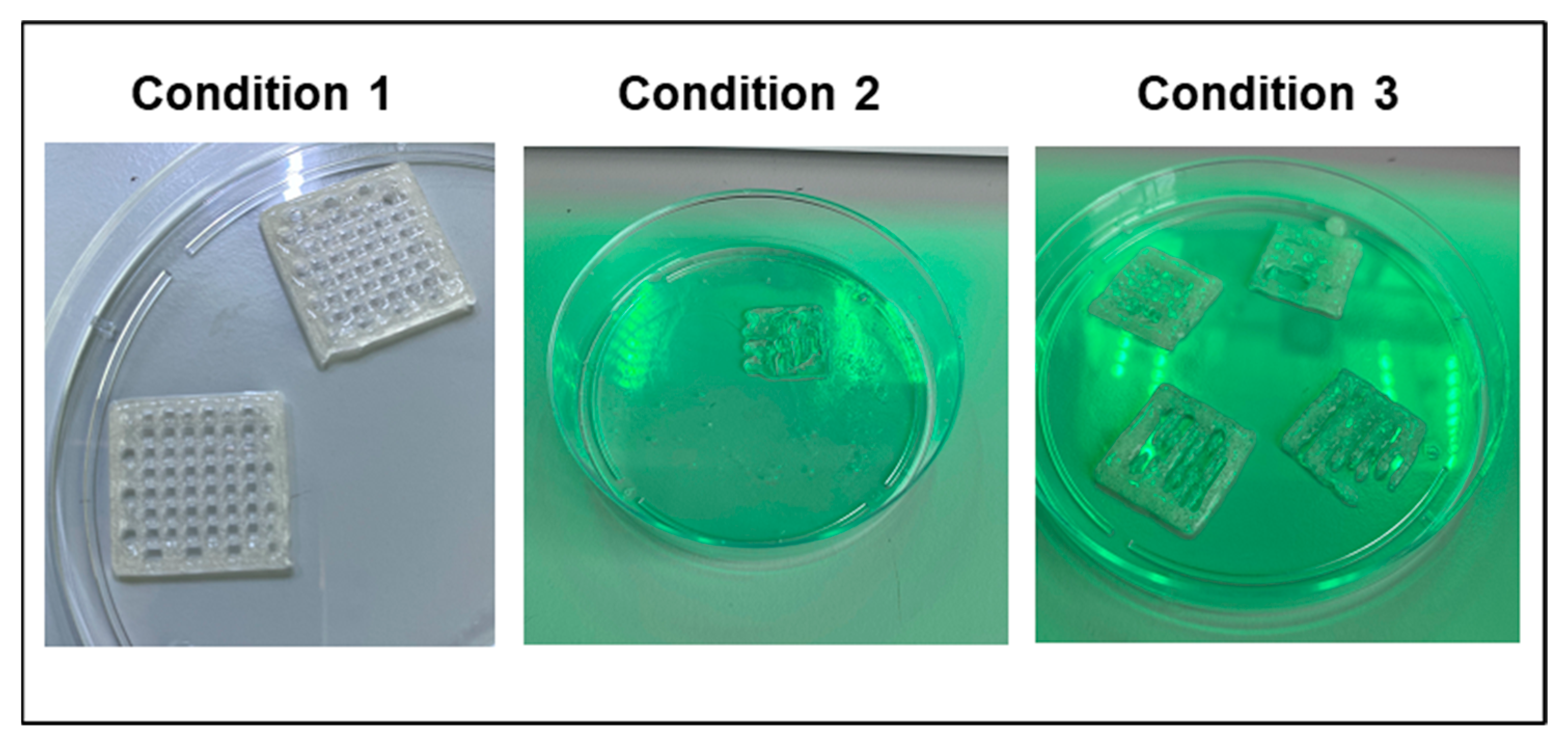 Polymers 14 04506 g001