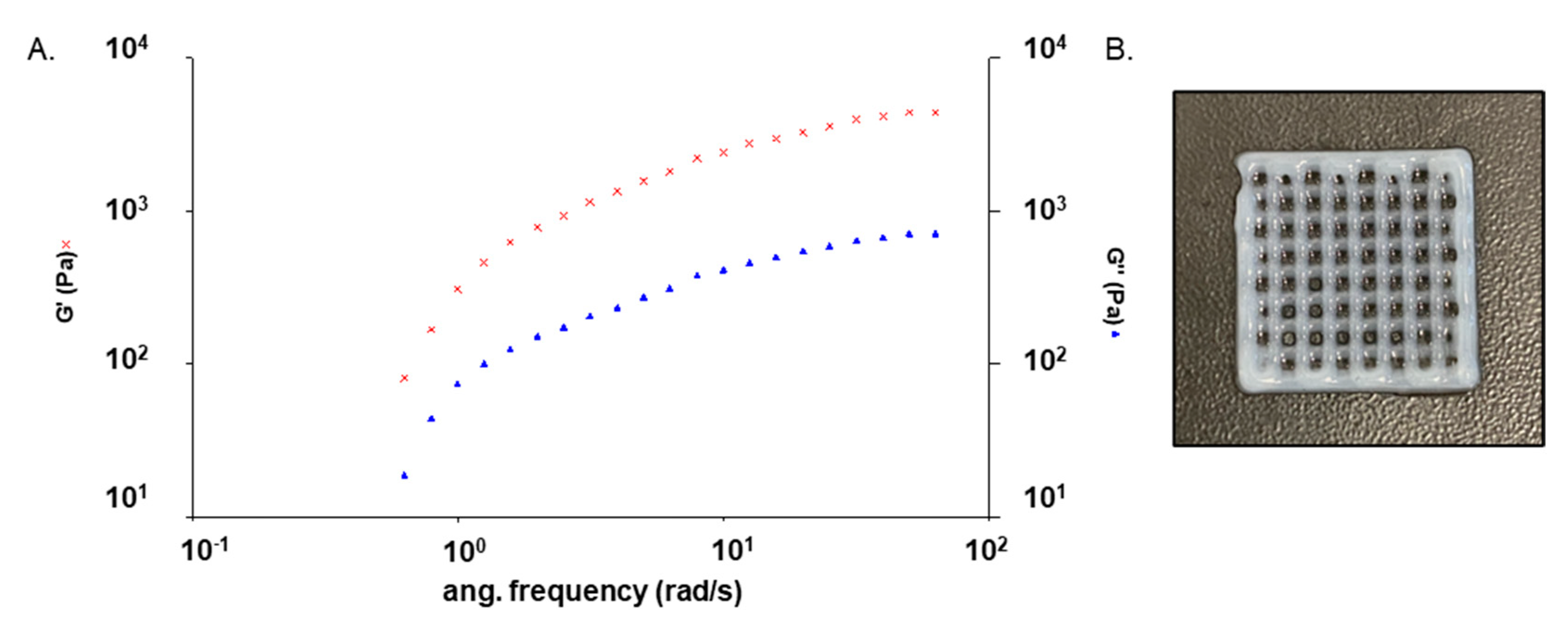 Polymers 14 04506 g002