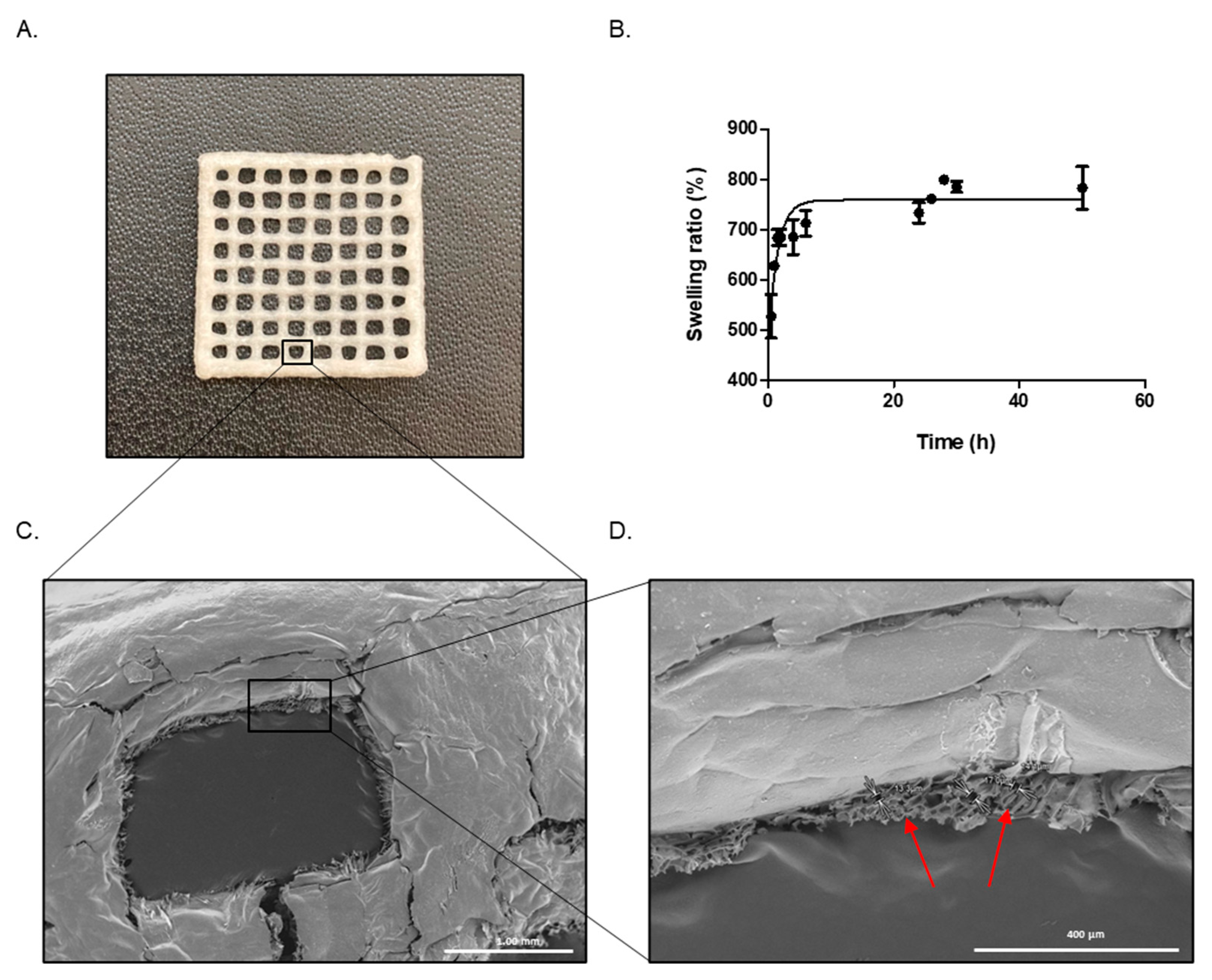 Polymers 14 04506 g004