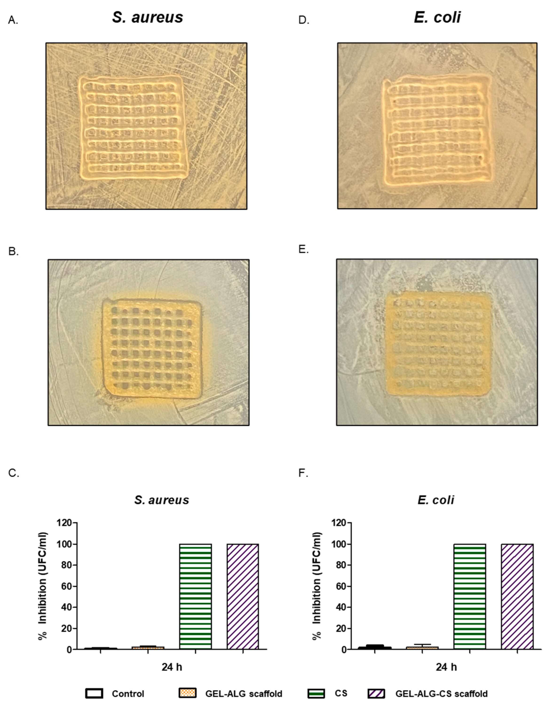 Polymers 14 04506 g008