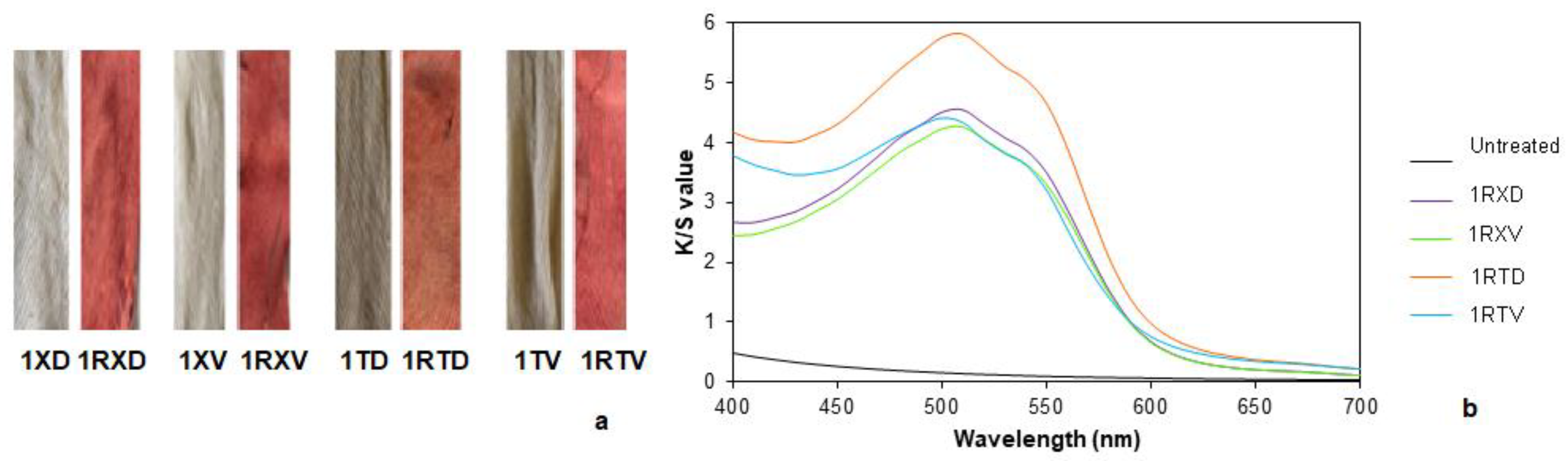 Polymers 14 04508 g005
