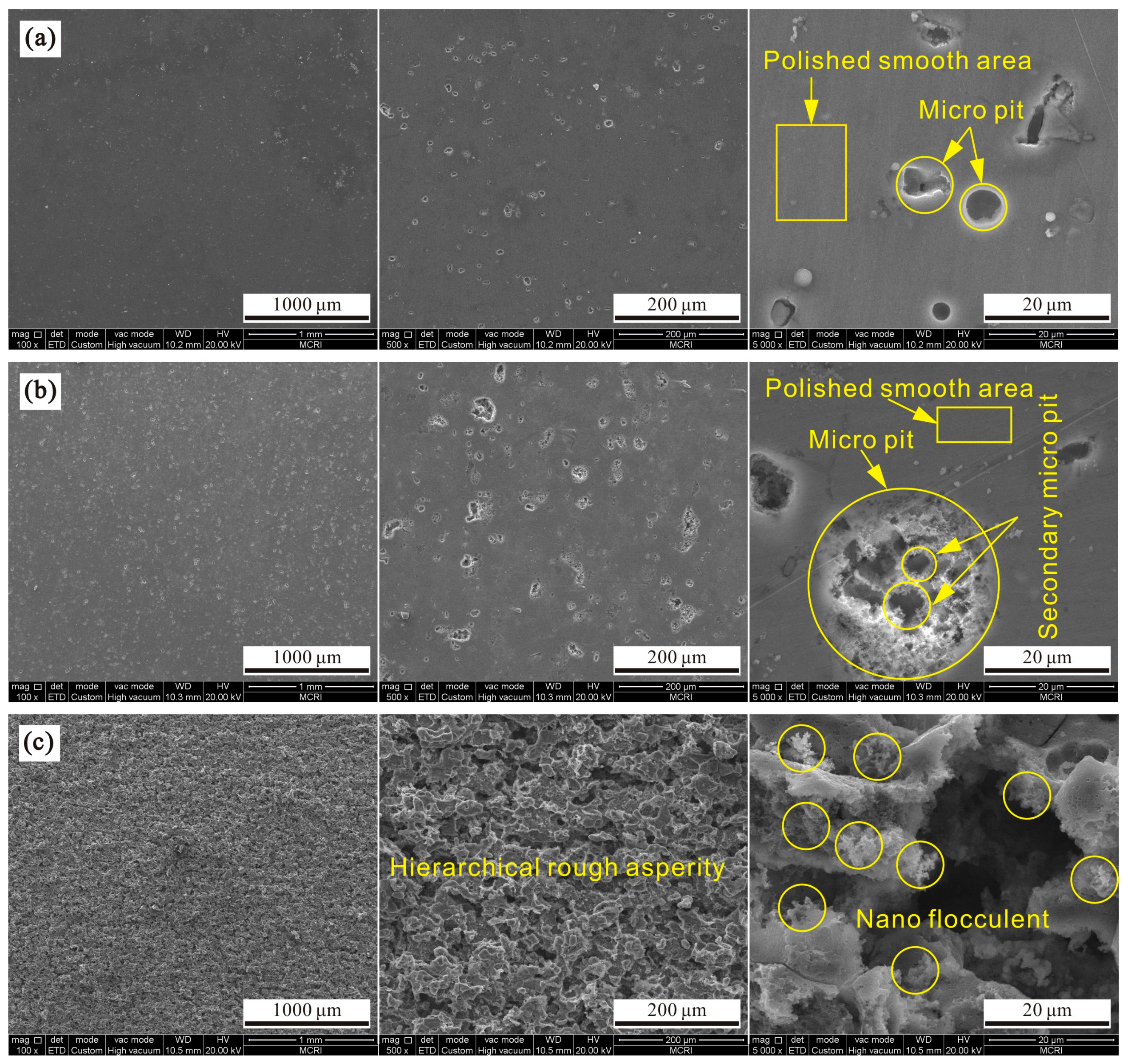 Polymers 14 04509 g001