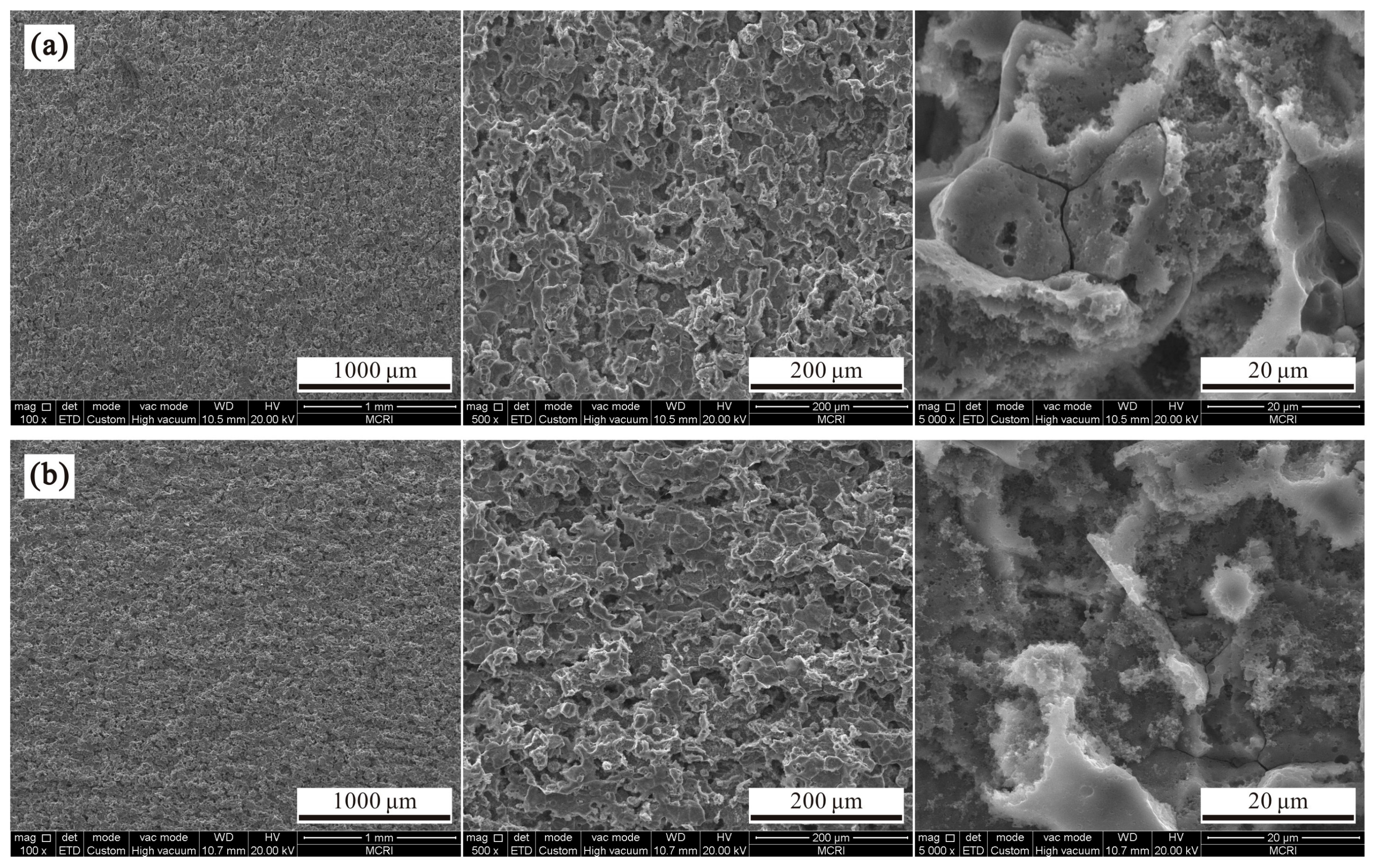 Polymers 14 04509 g002