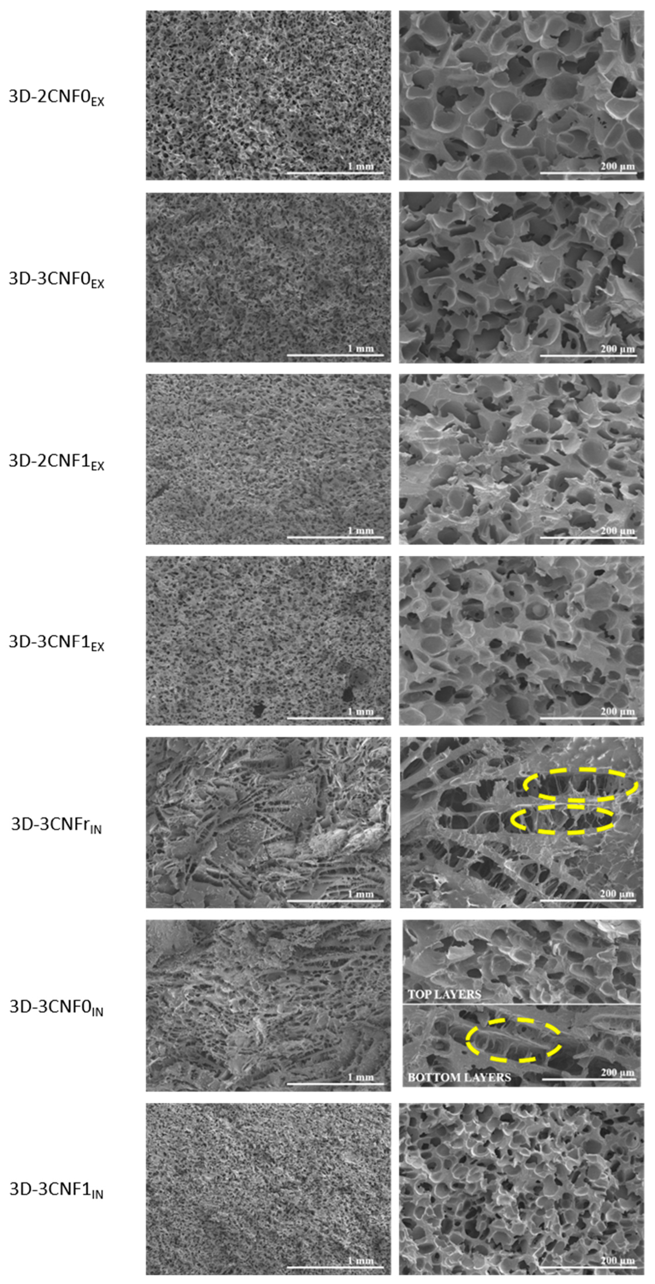 Polymers 14 04516 g007 Polymers 14 04516 g007