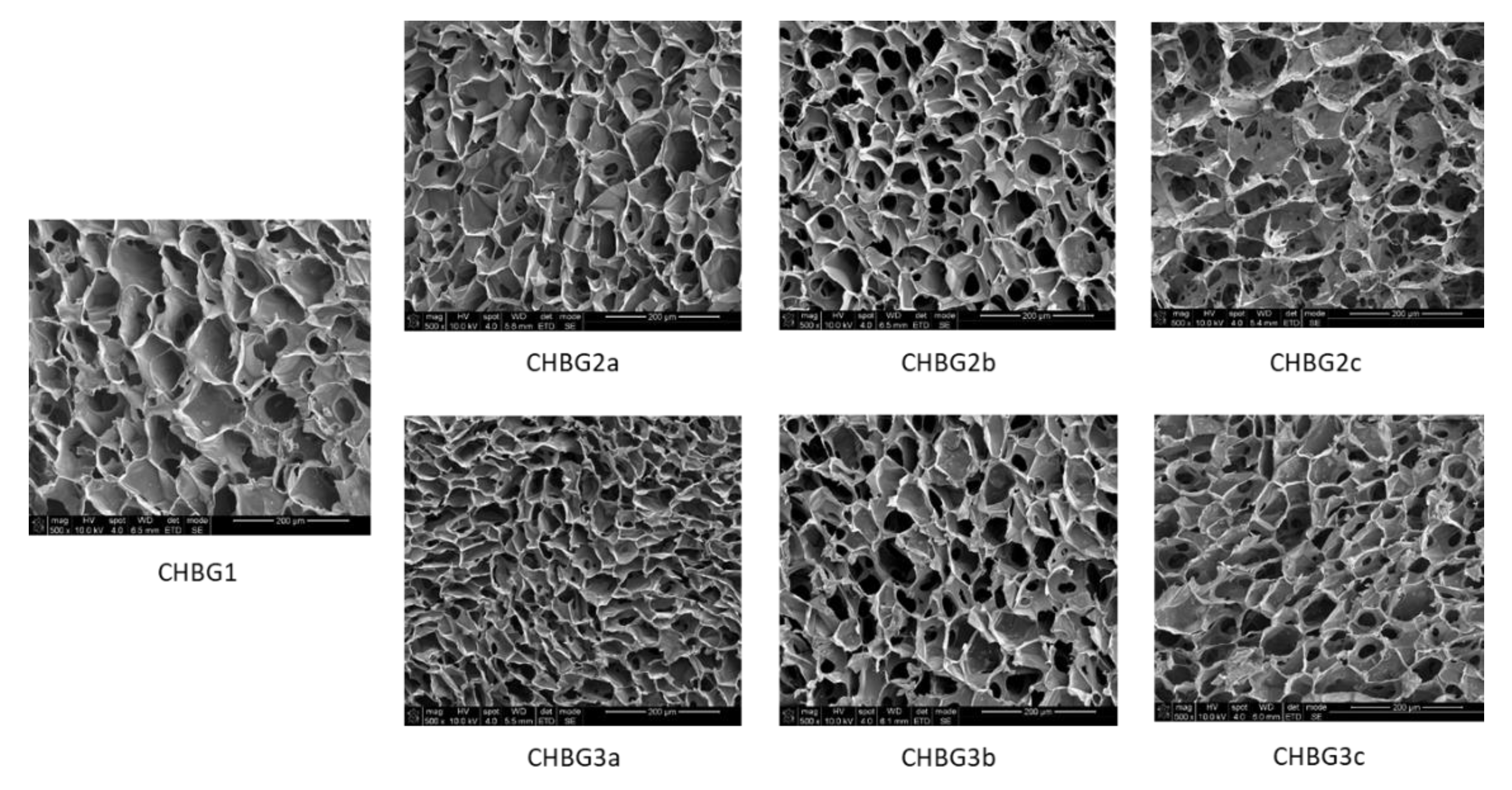 Polymers 14 04522 g001