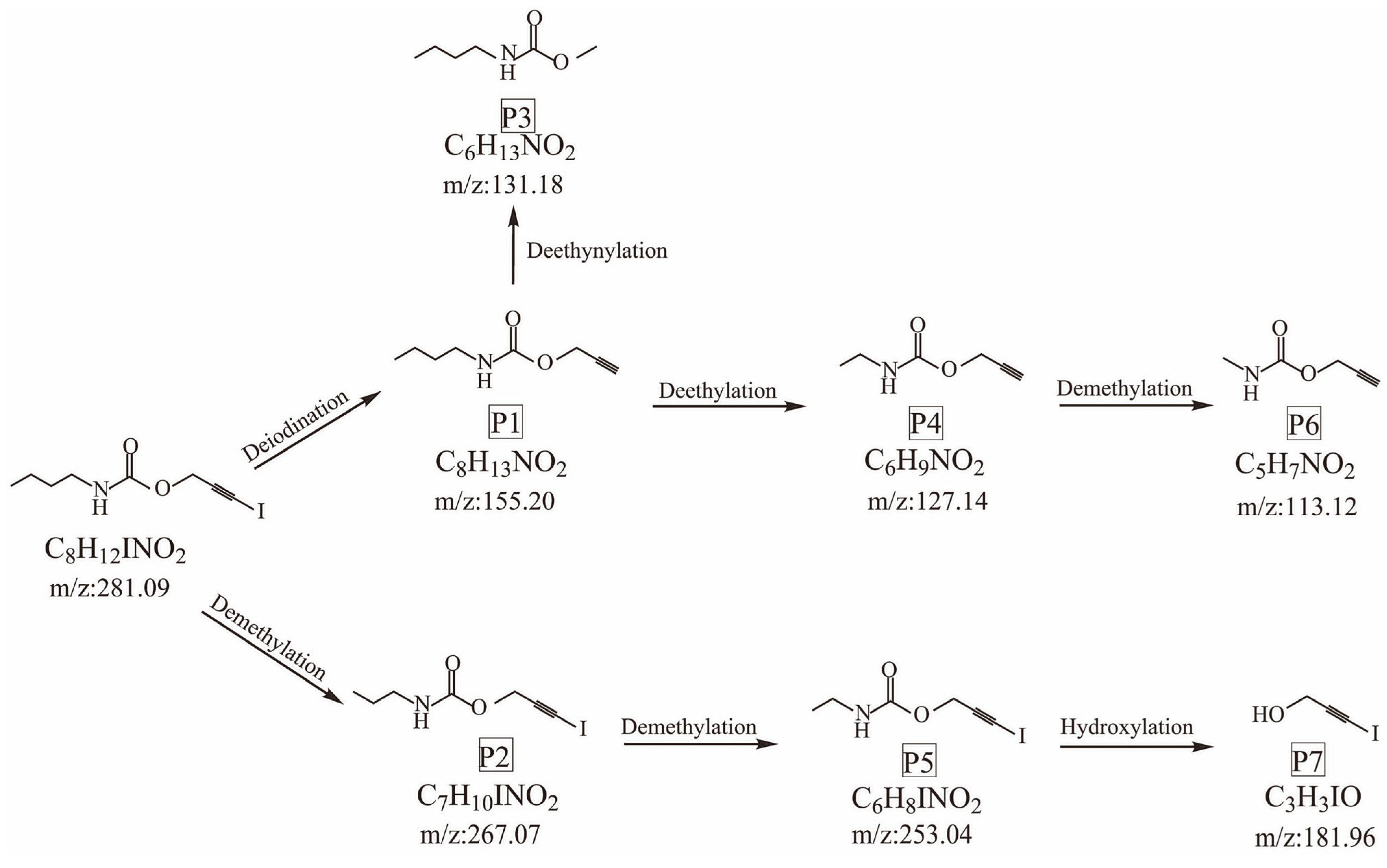 Polymers 14 04531 g010