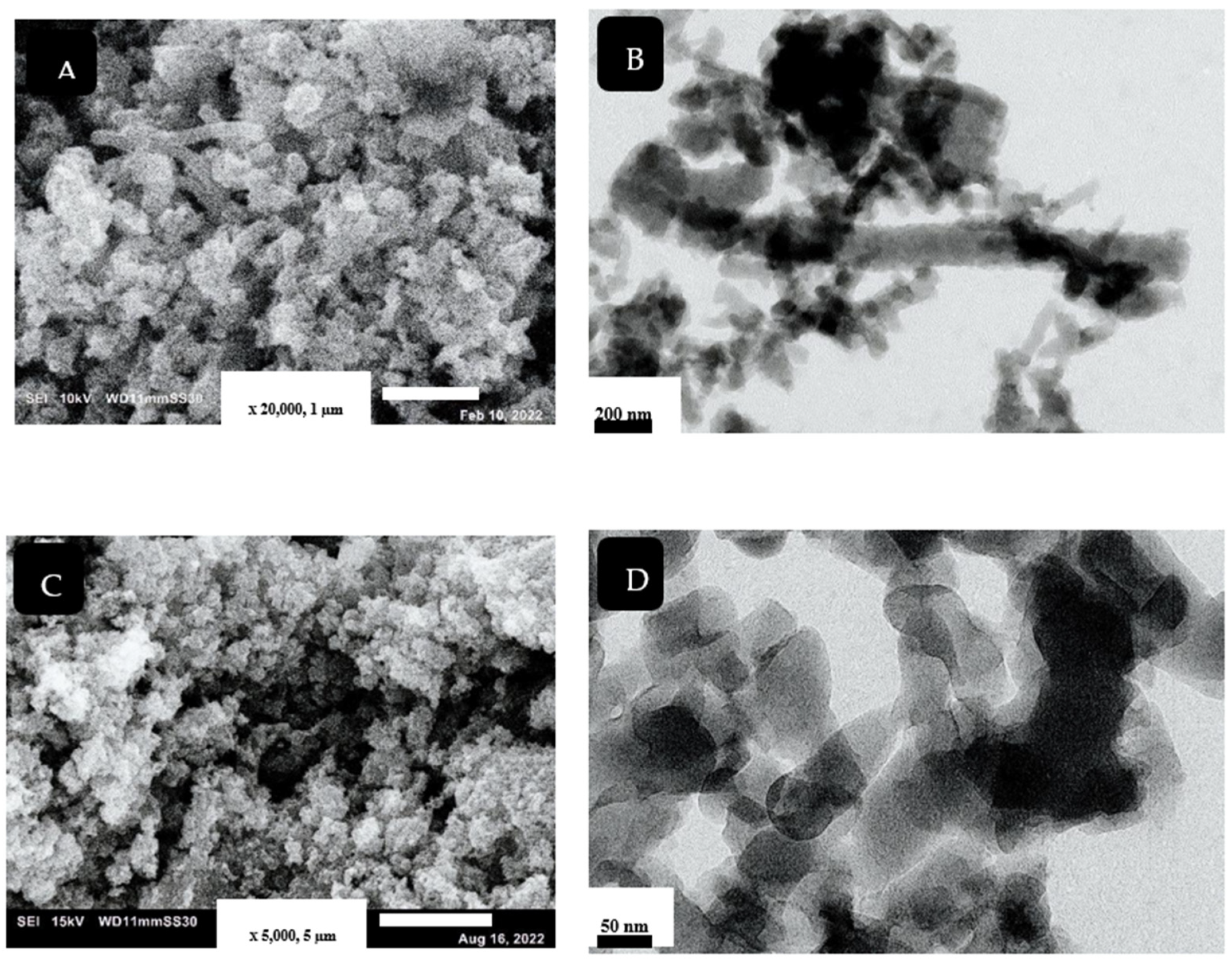 Polymers 14 04533 g002 Polymers 14 04533 g002