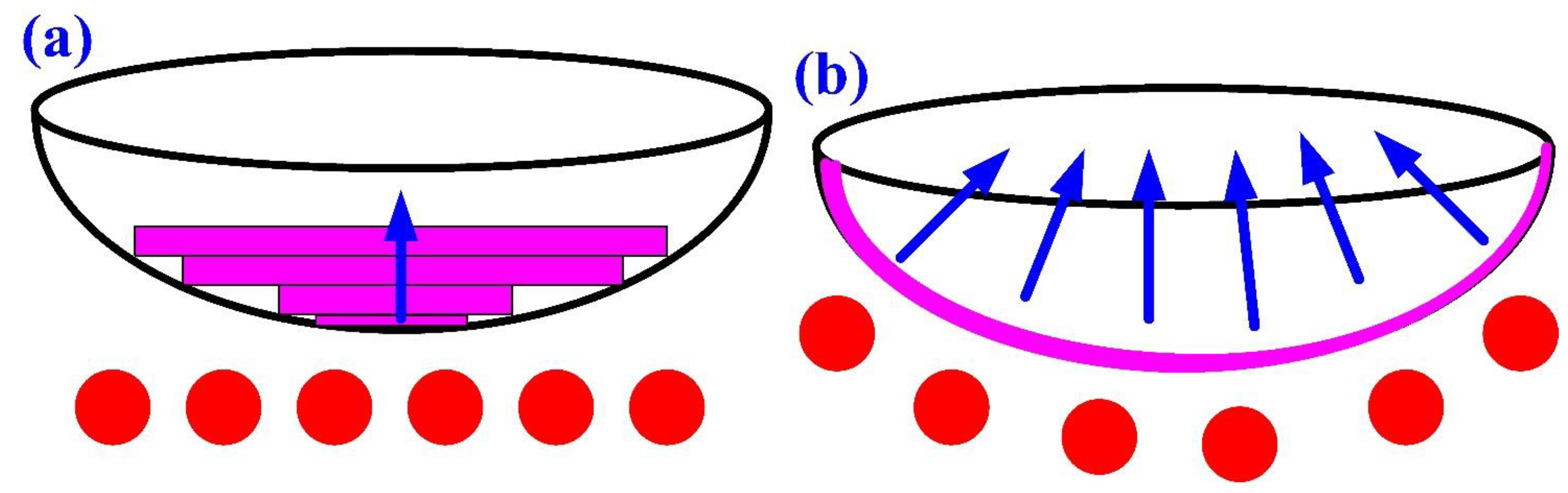 Polymers 14 04534 g013