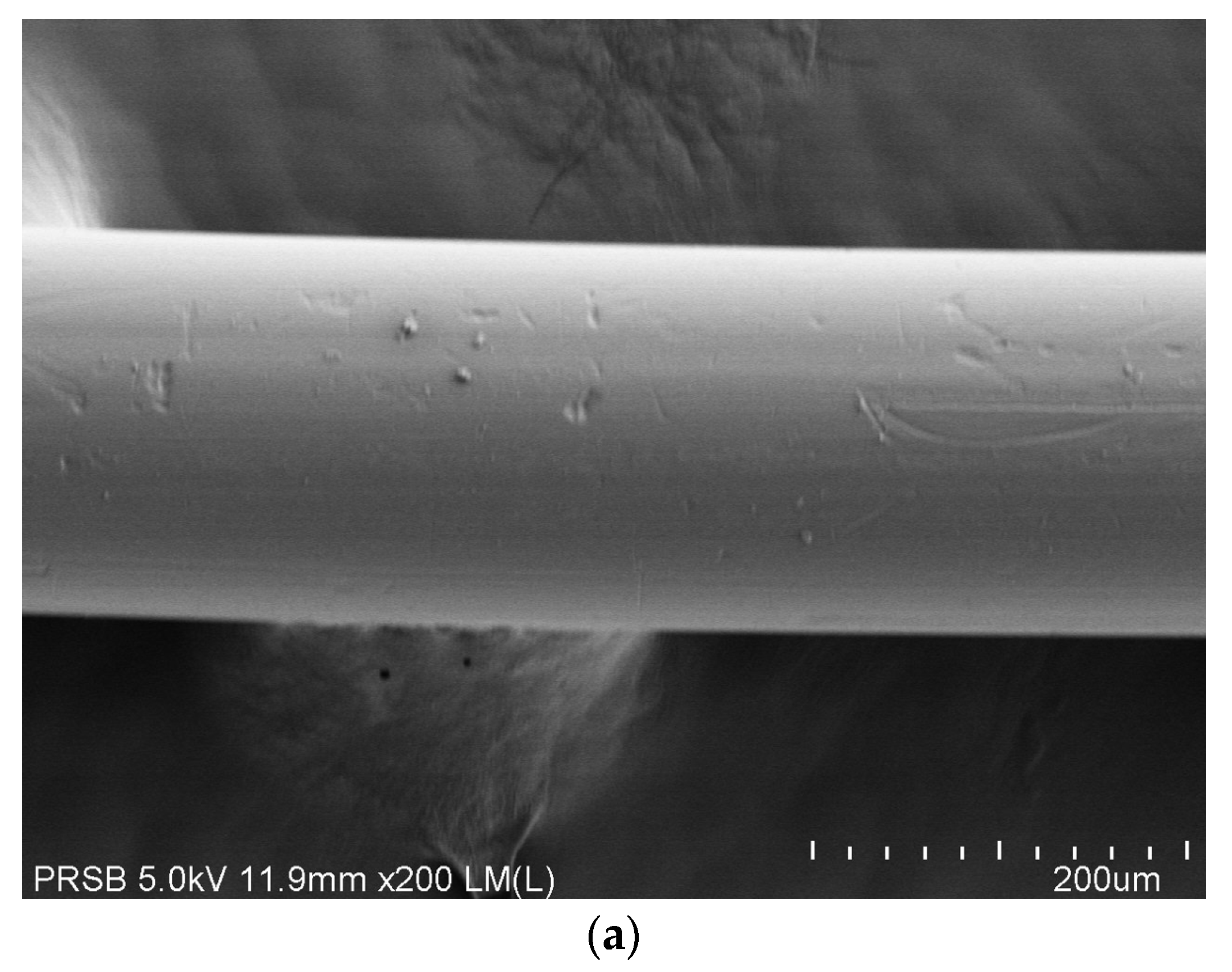Polymers 14 04537 g002a