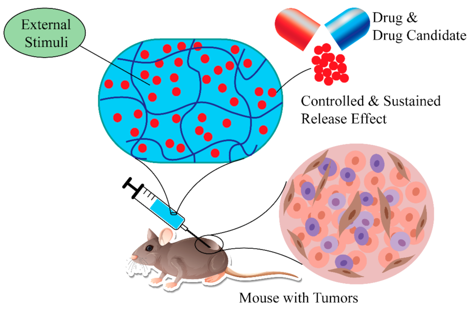 Polymers 14 04539 g008 Polymers 14 04539 g008