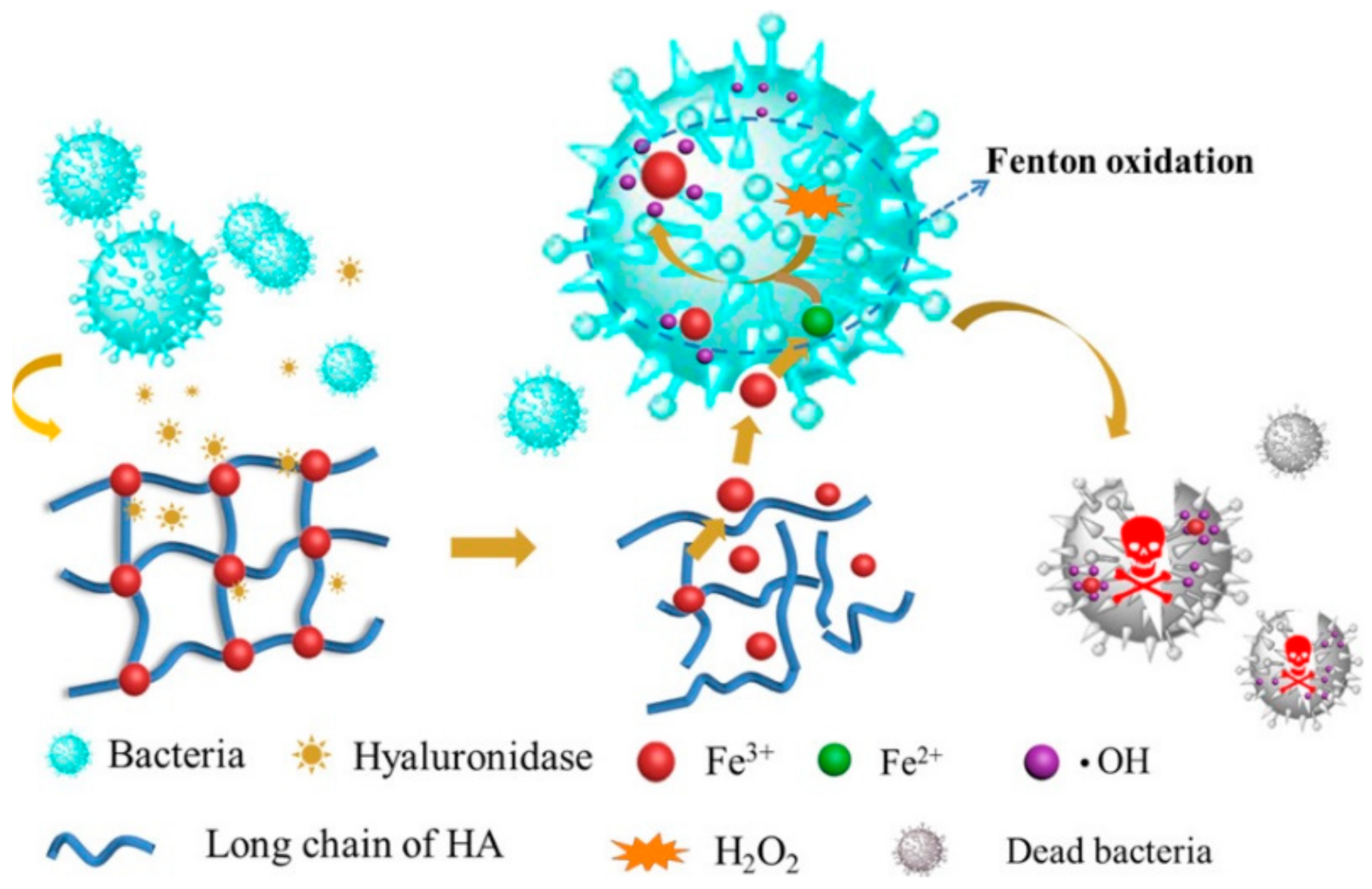 Polymers 14 04539 g009 Polymers 14 04539 g009