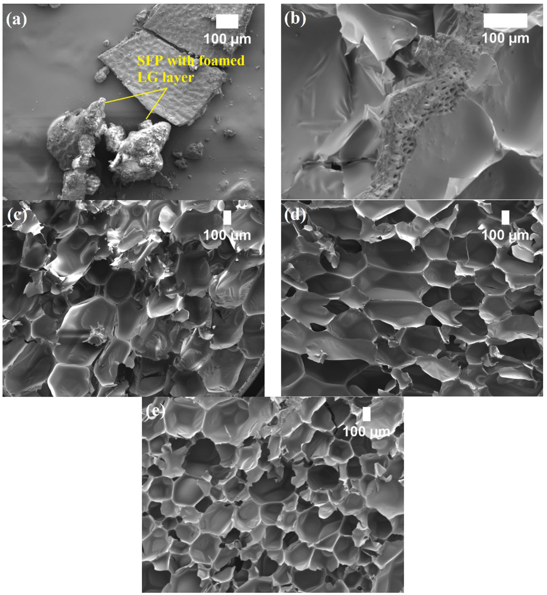 Polymers 14 04543 g001