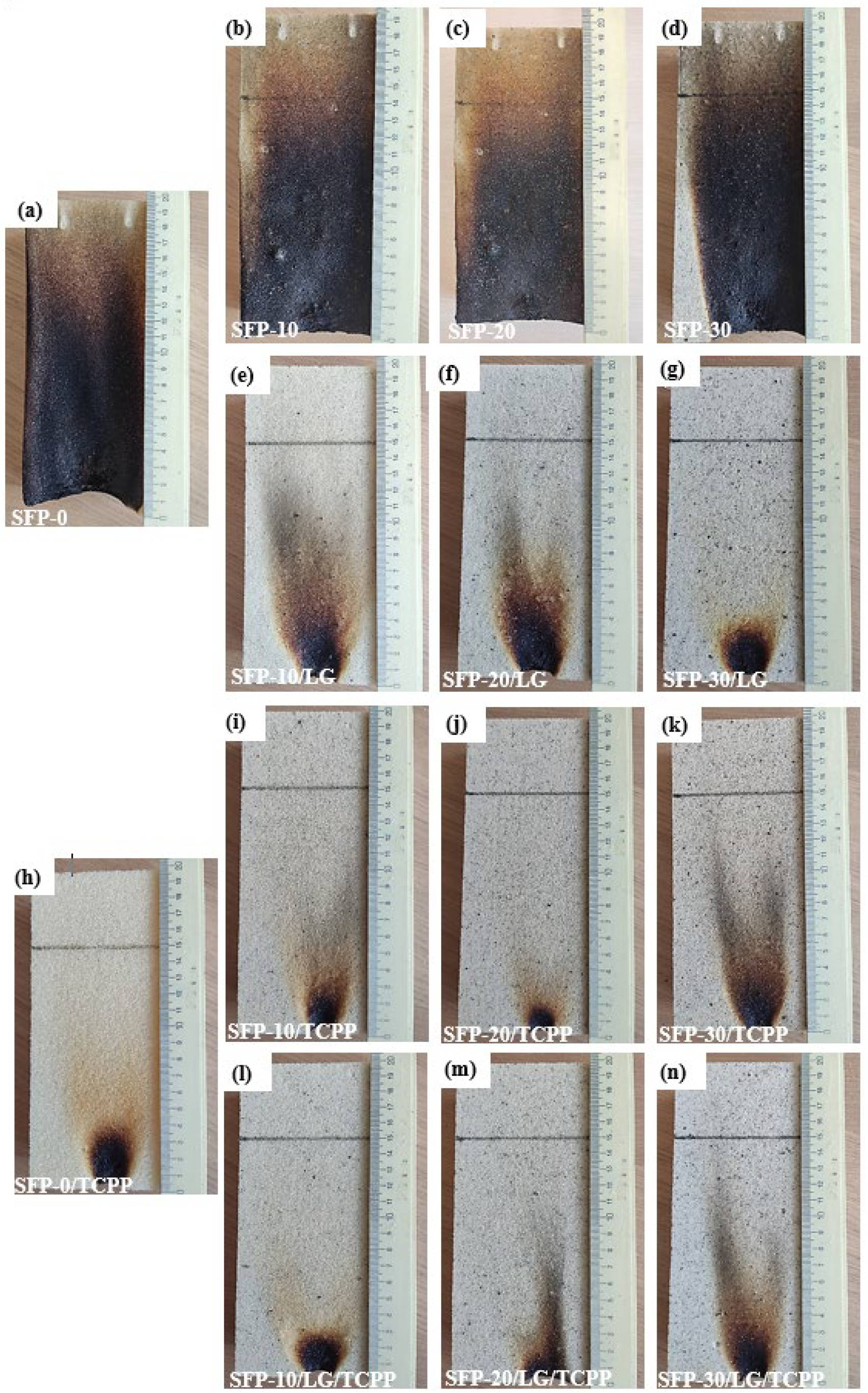Polymers 14 04543 g004