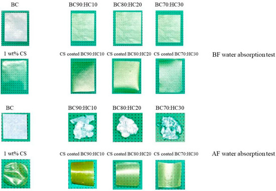 Chitosan-Coated Bacterial Cellulose (BC)/Hydrolyzed Collagen Films and ...