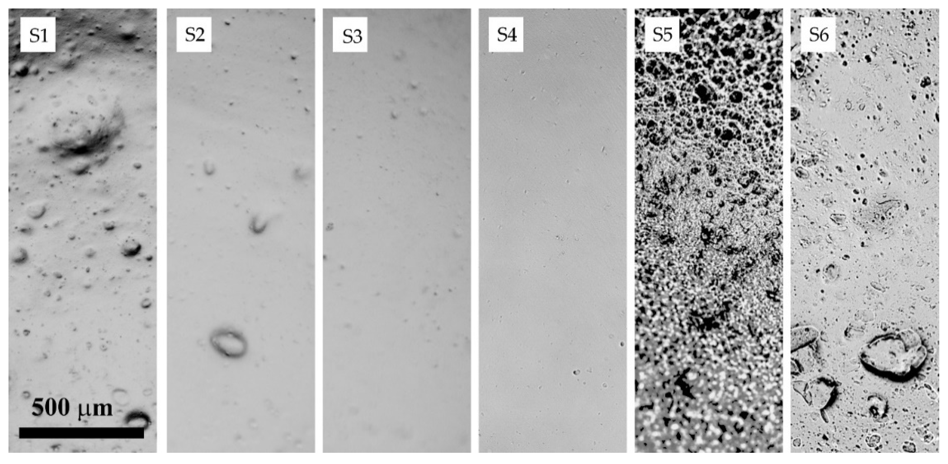 Polymers 14 04548 g007