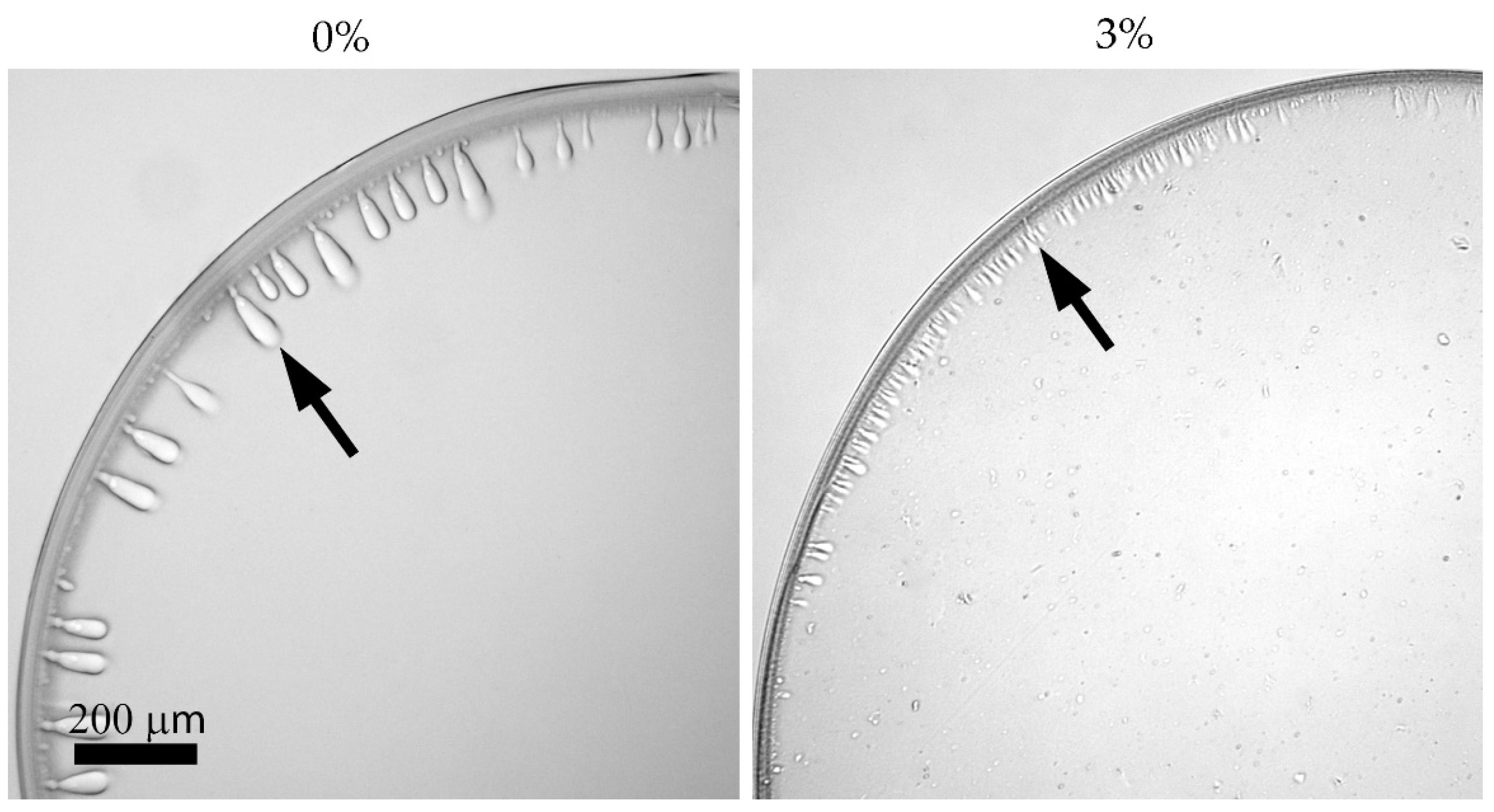 Polymers 14 04548 g012