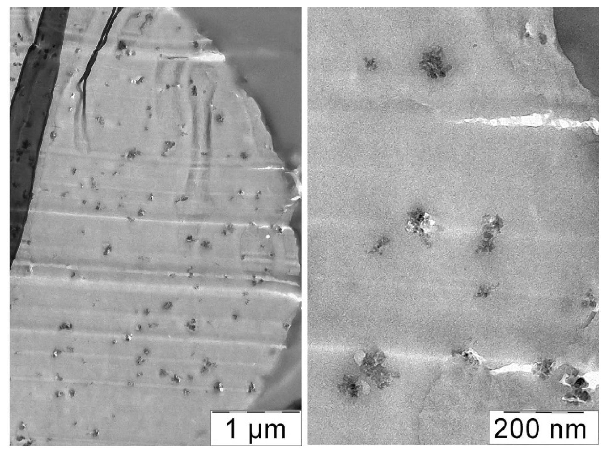 Polymers 14 04548 g015