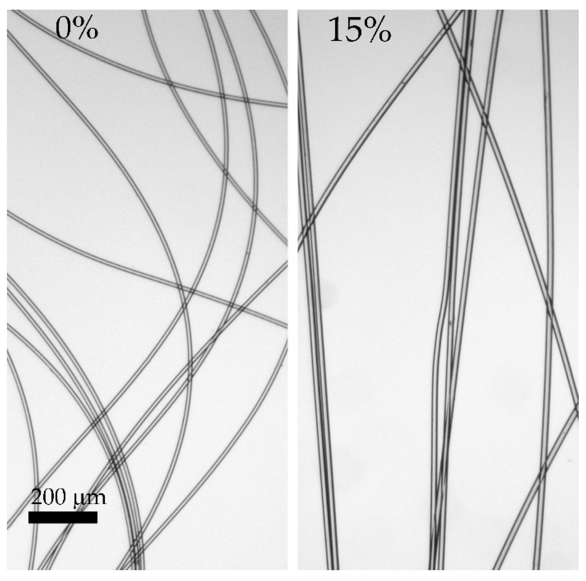 Polymers 14 04548 g016