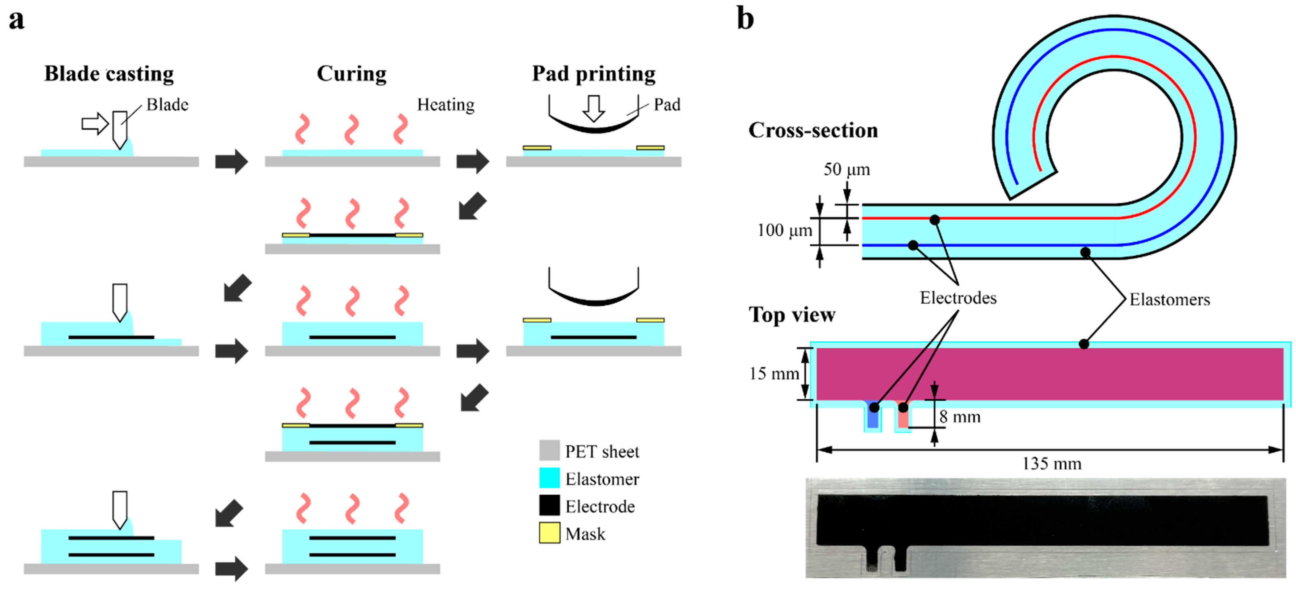 Polymers 14 04549 g004