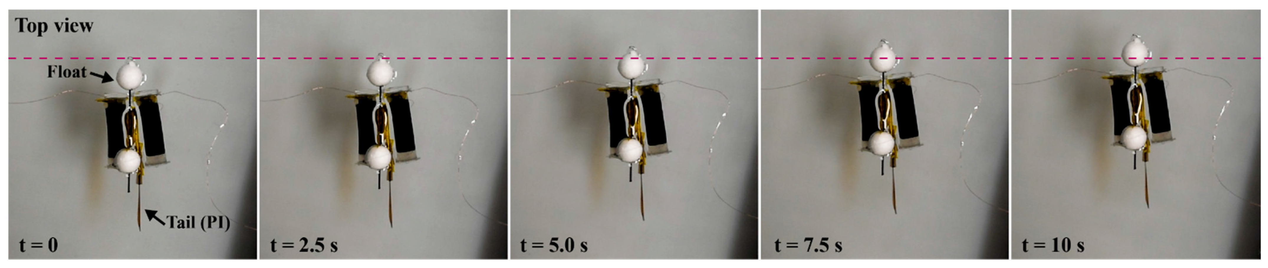 Polymers 14 04549 g007