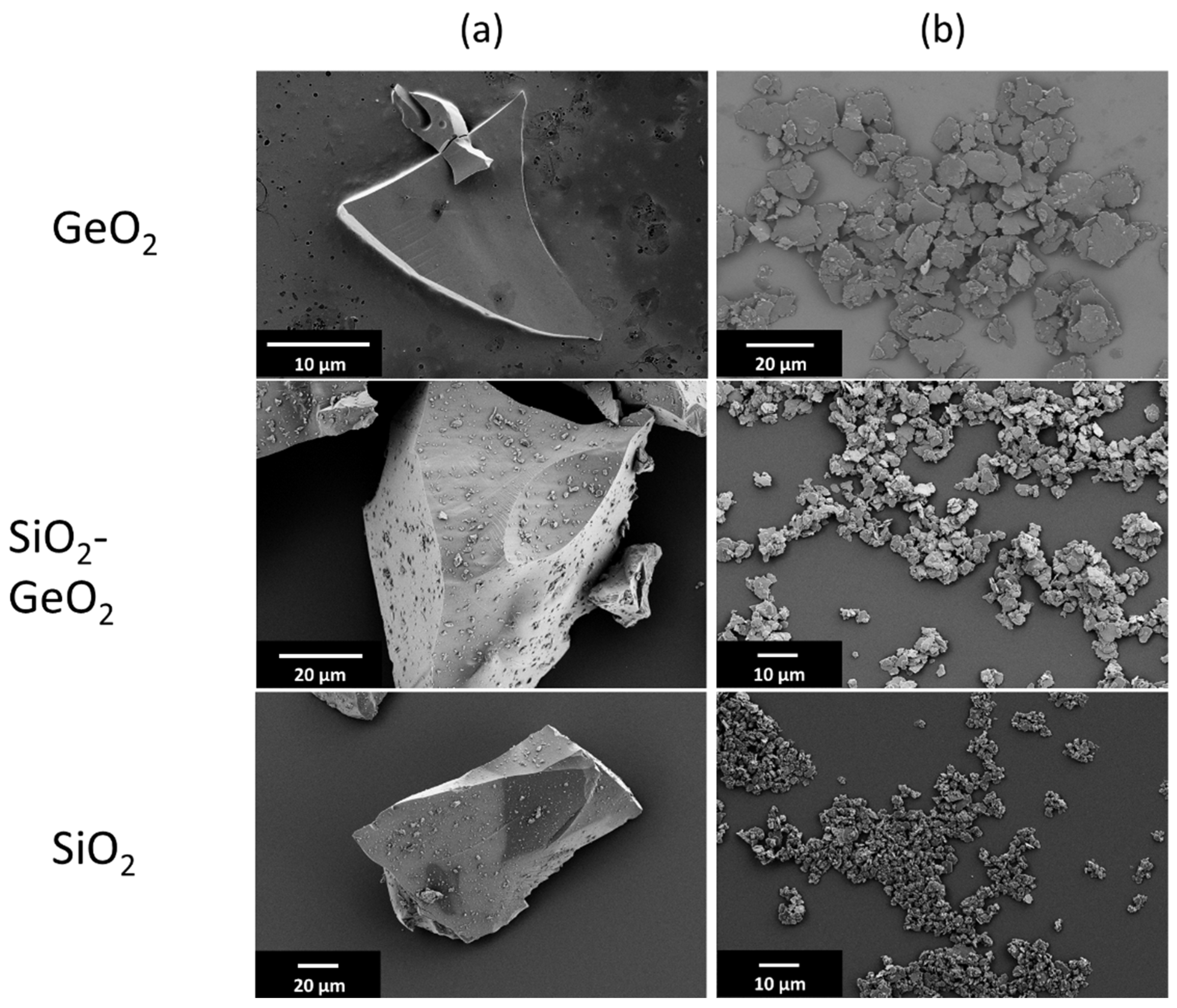 Polymers 14 04555 g002 Polymers 14 04555 g002