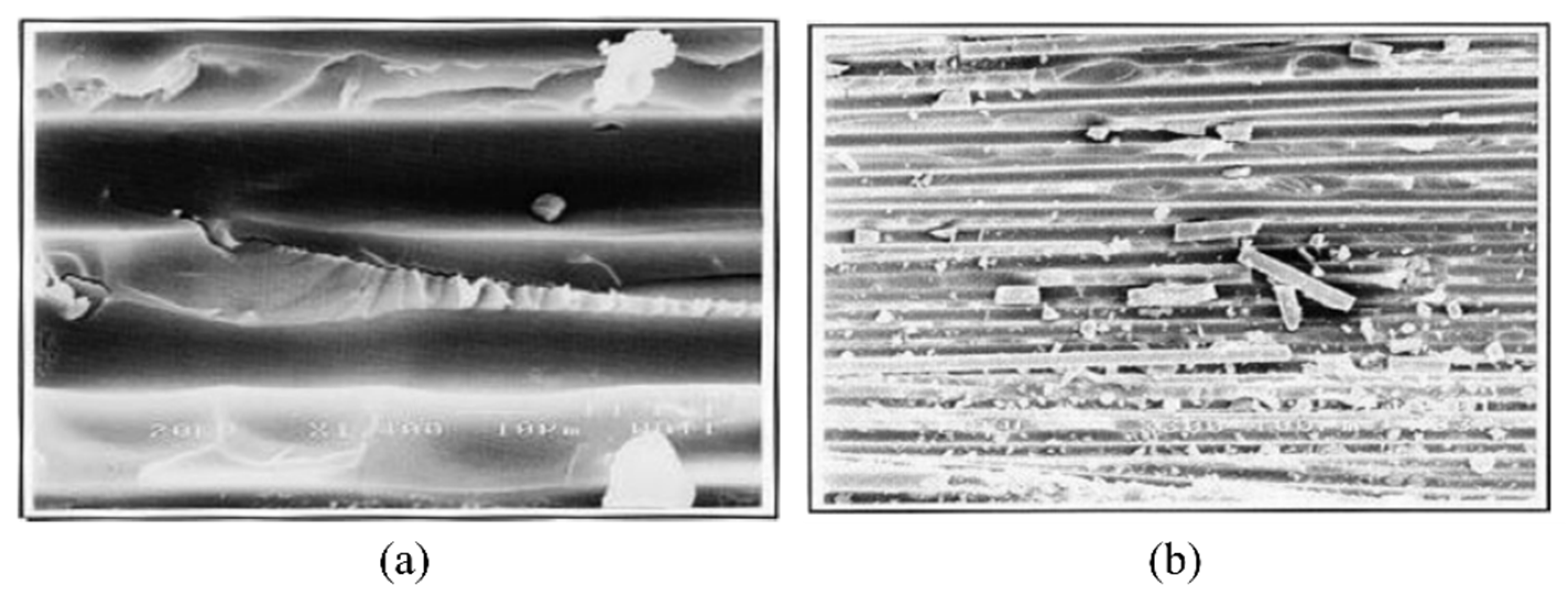 Polymers 14 04558 g006