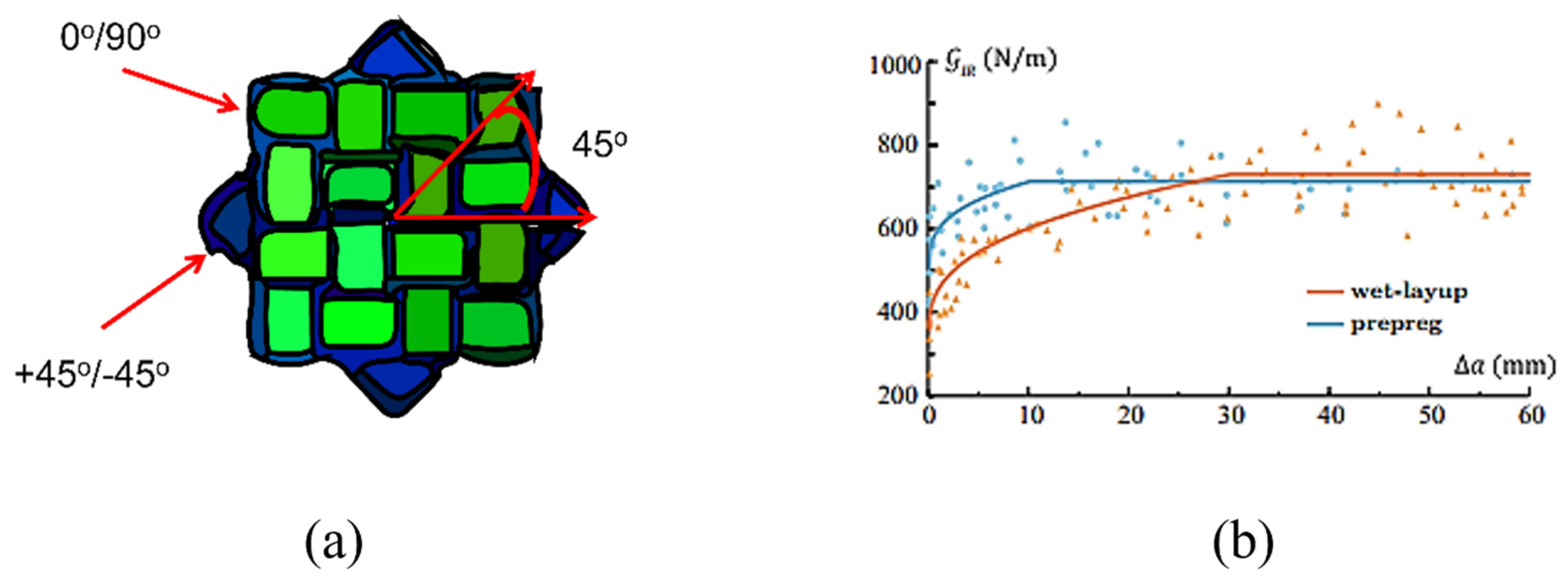 Polymers 14 04558 g008