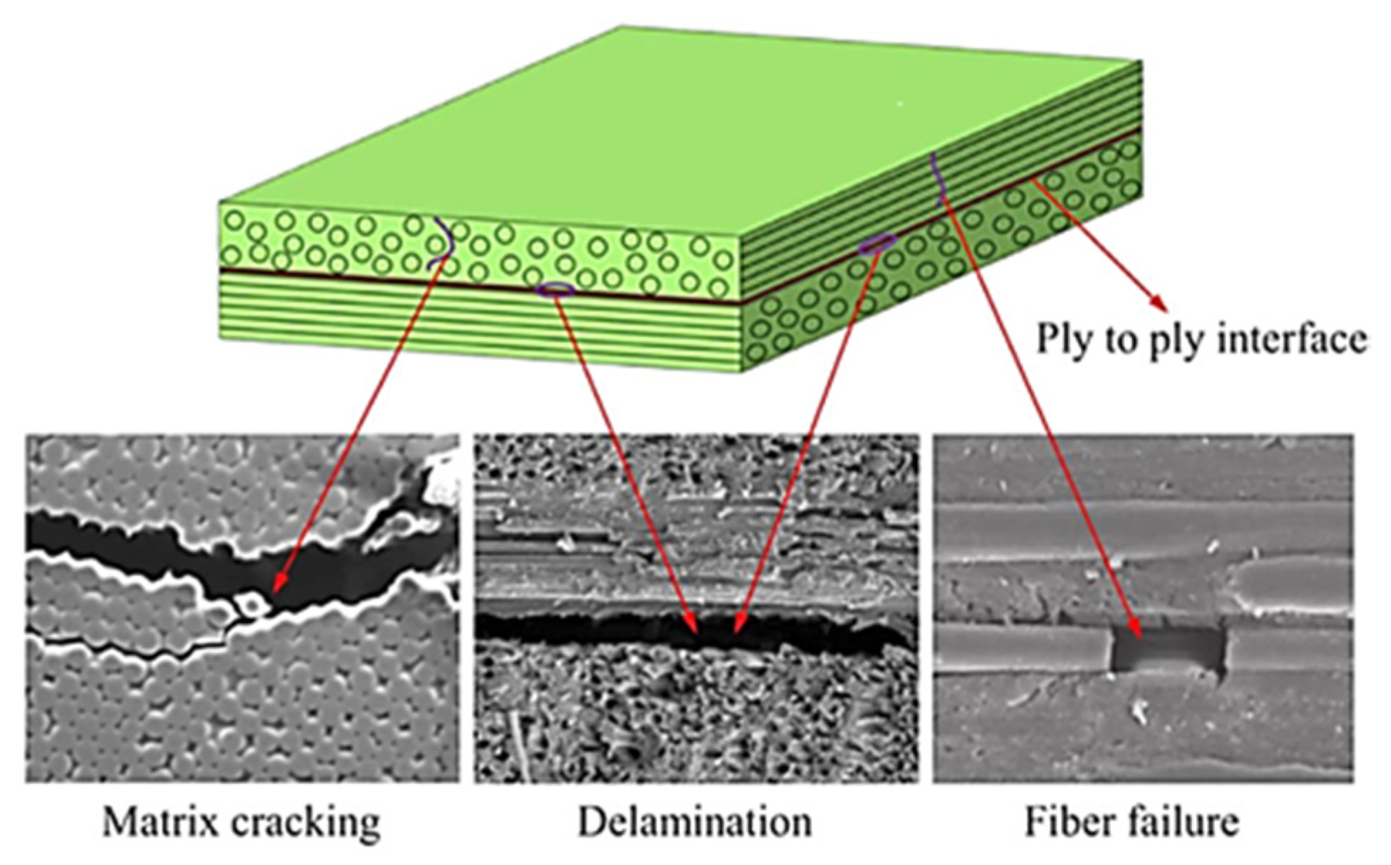 Polymers 14 04558 g012