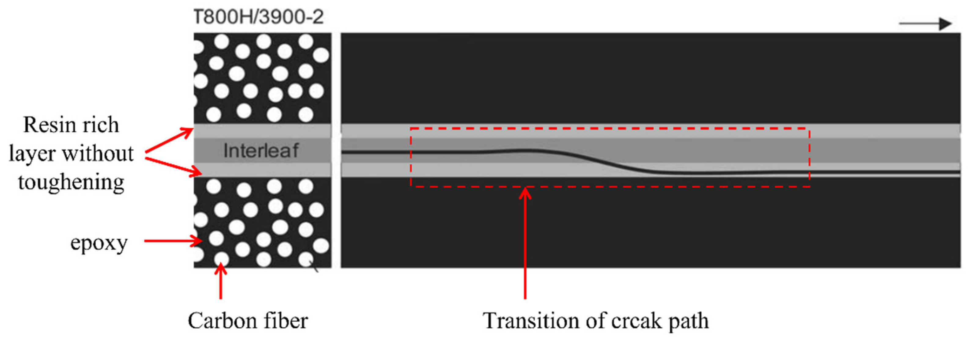 Polymers 14 04558 g021