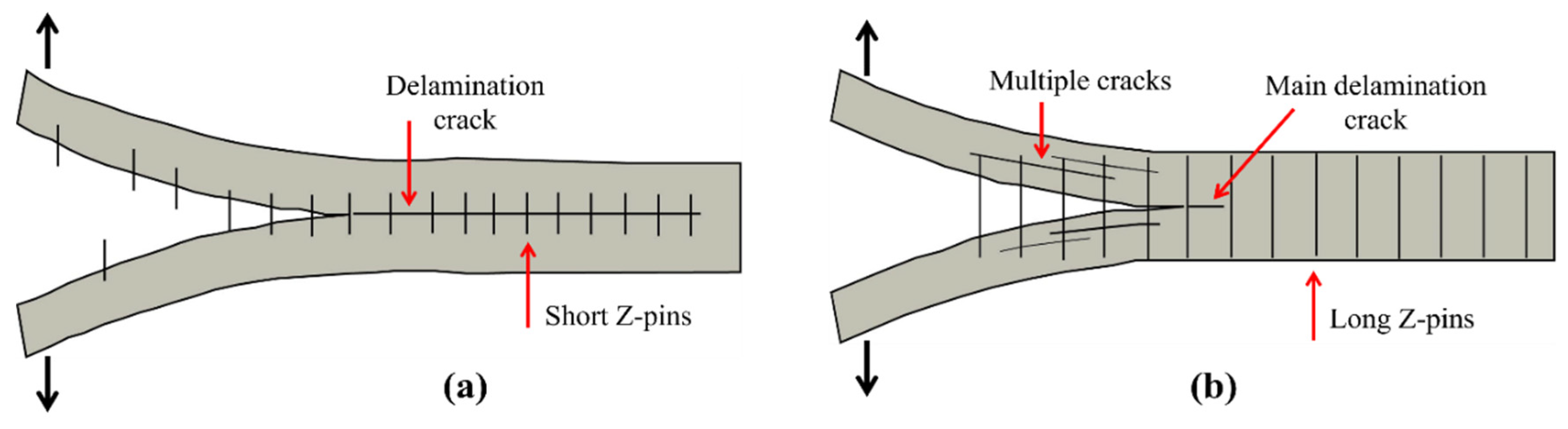 Polymers 14 04558 g025