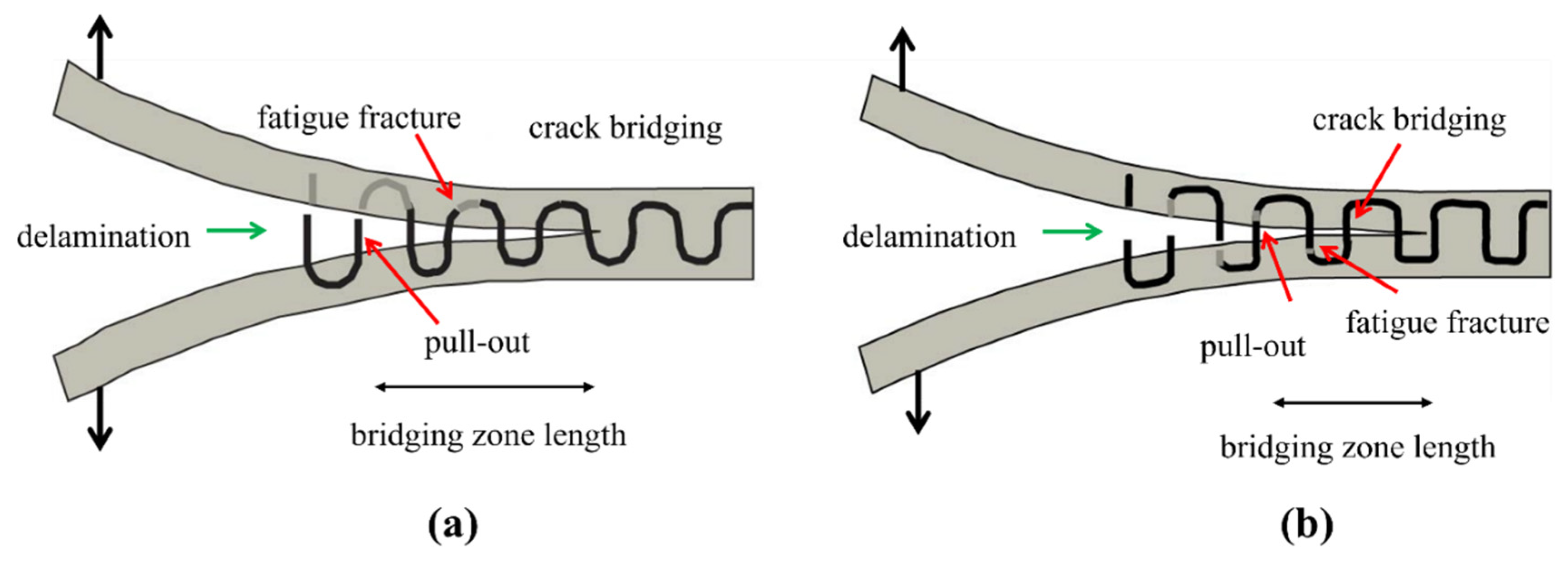 Polymers 14 04558 g026