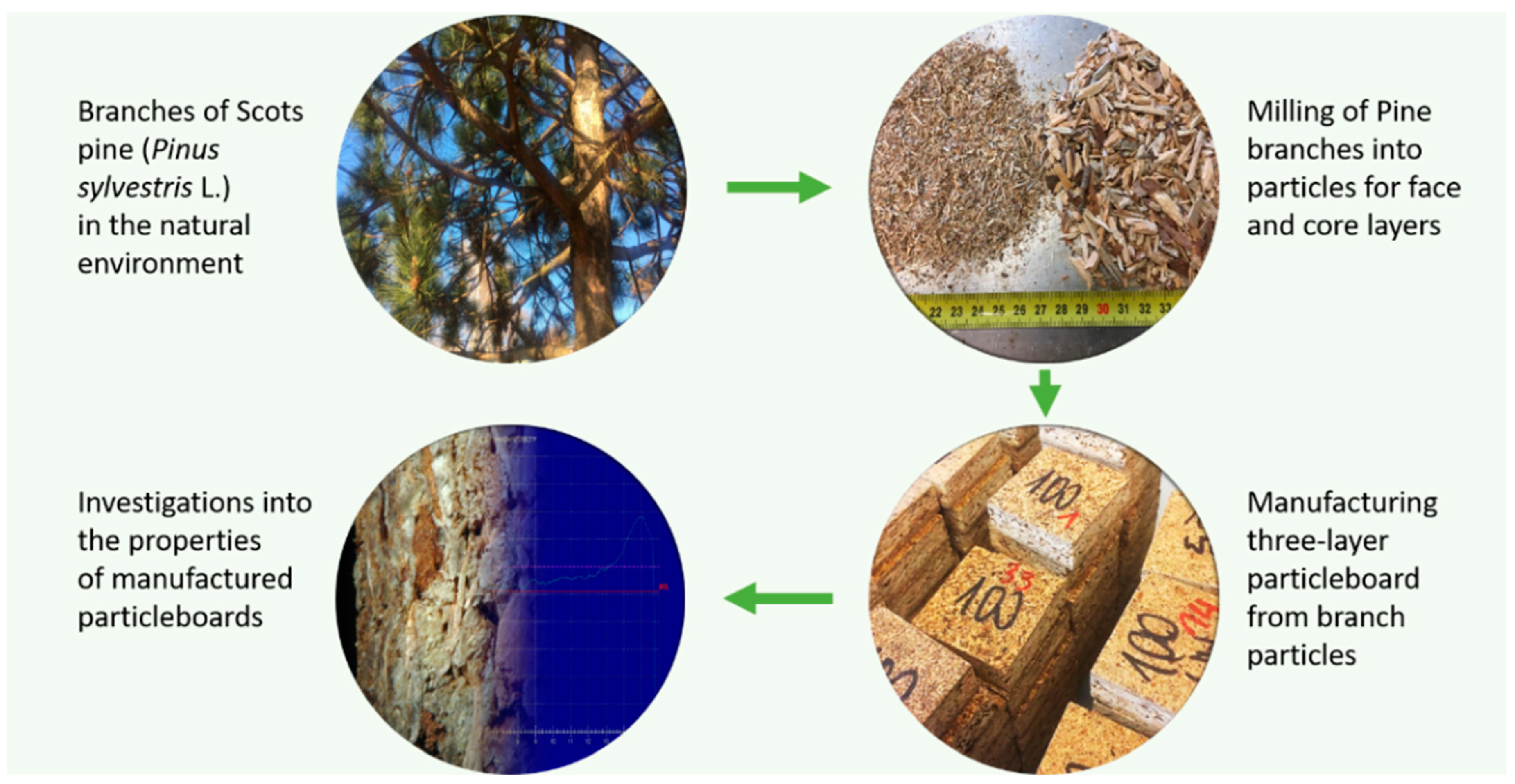 Polymers 14 04559 g002 Polymers 14 04559 g002