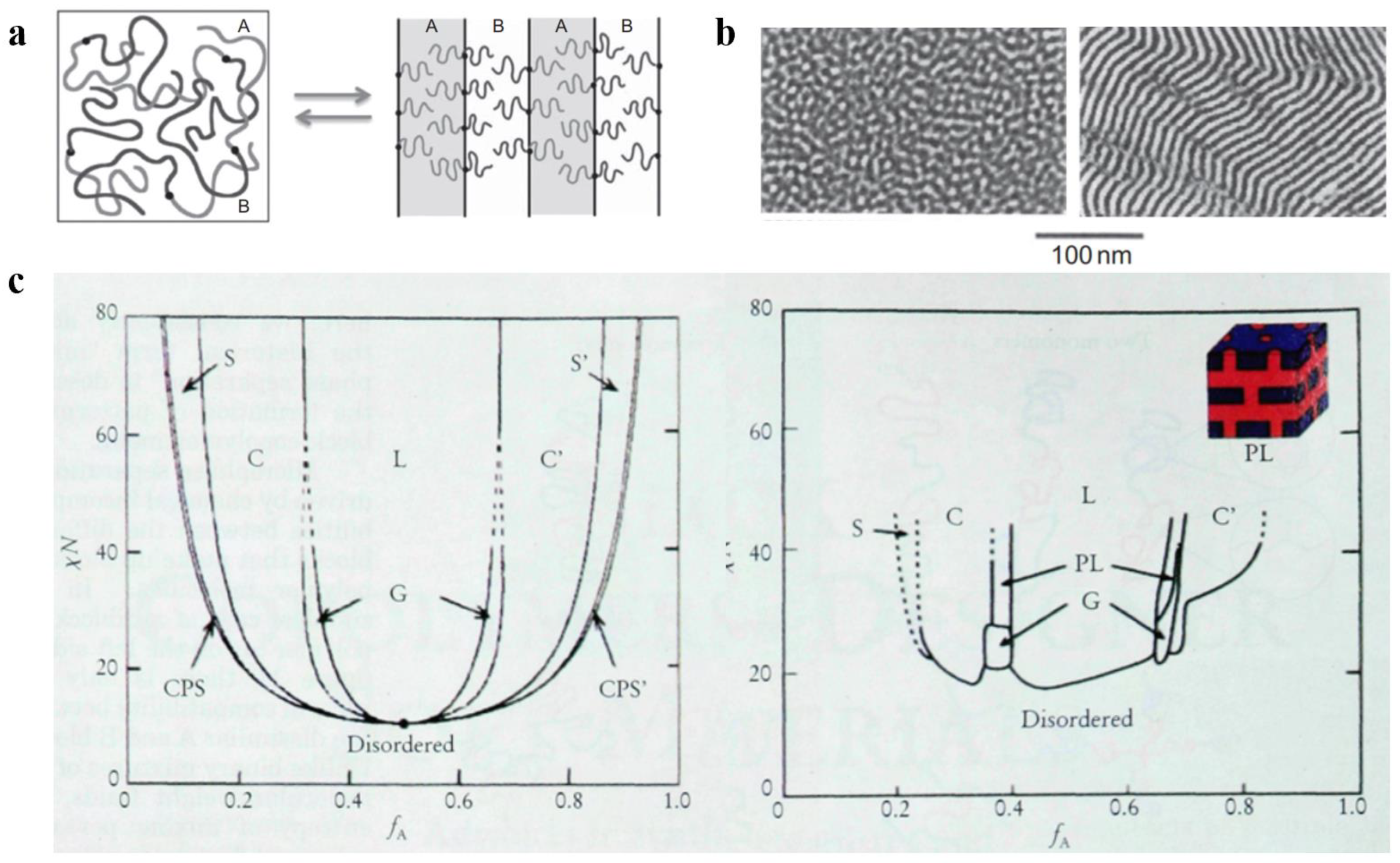 Polymers 14 04568 g001