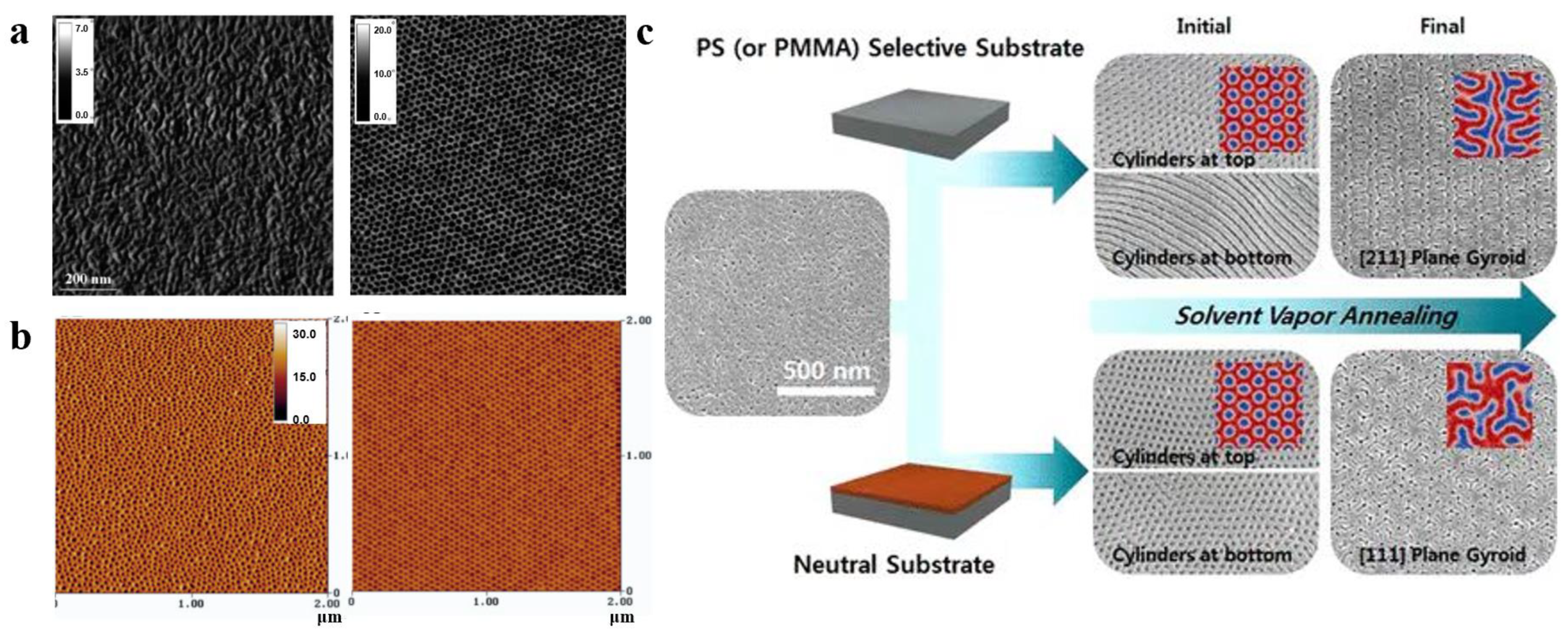Polymers 14 04568 g004