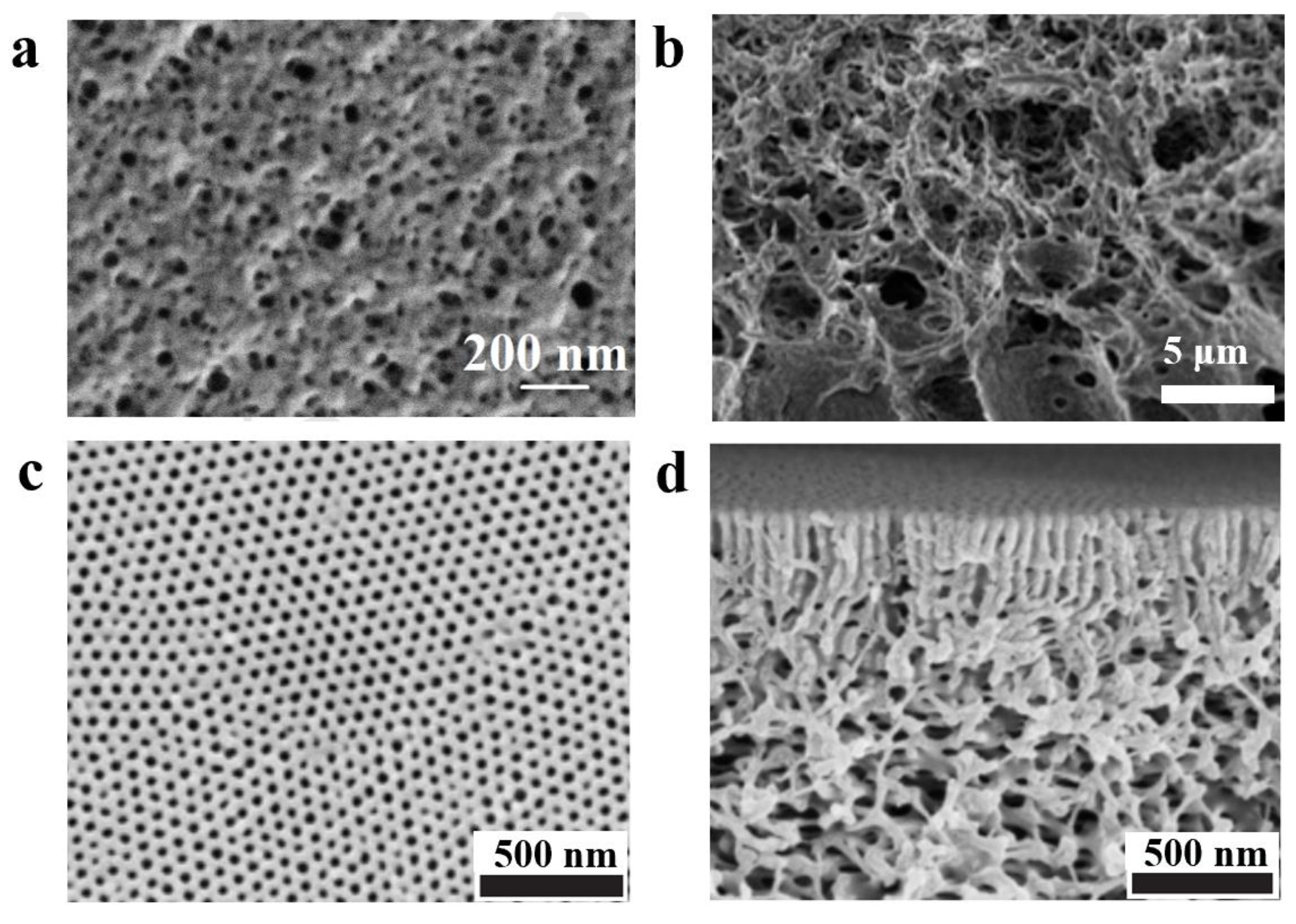 Polymers 14 04568 g005