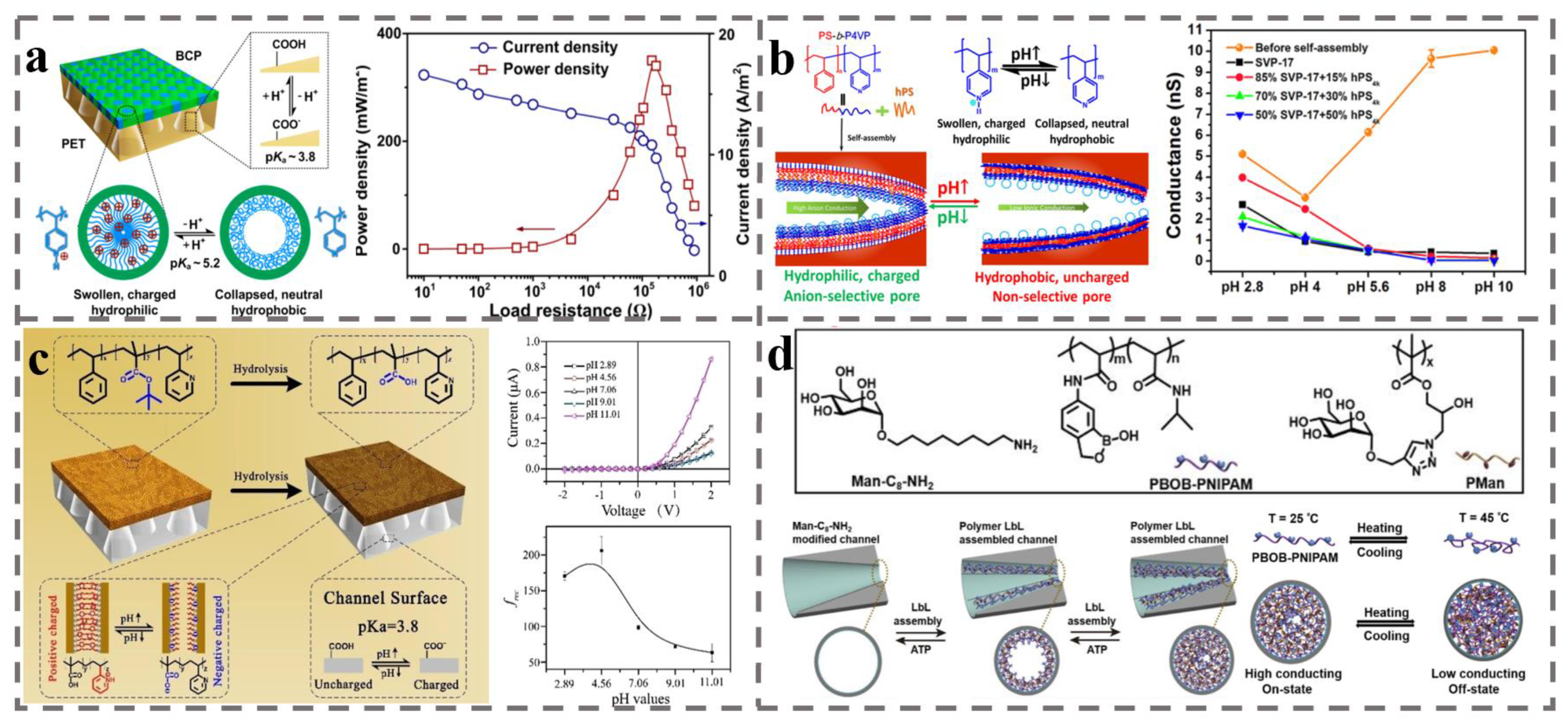 Polymers 14 04568 g007